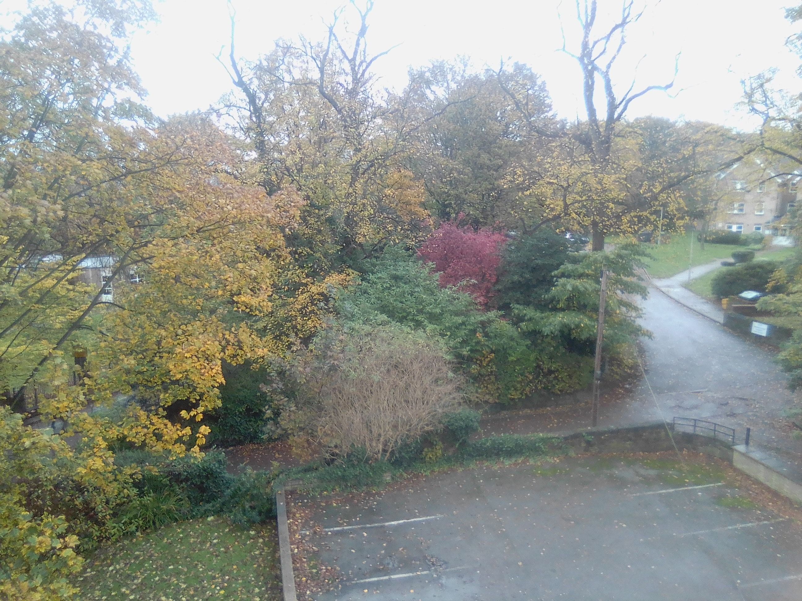image-9
