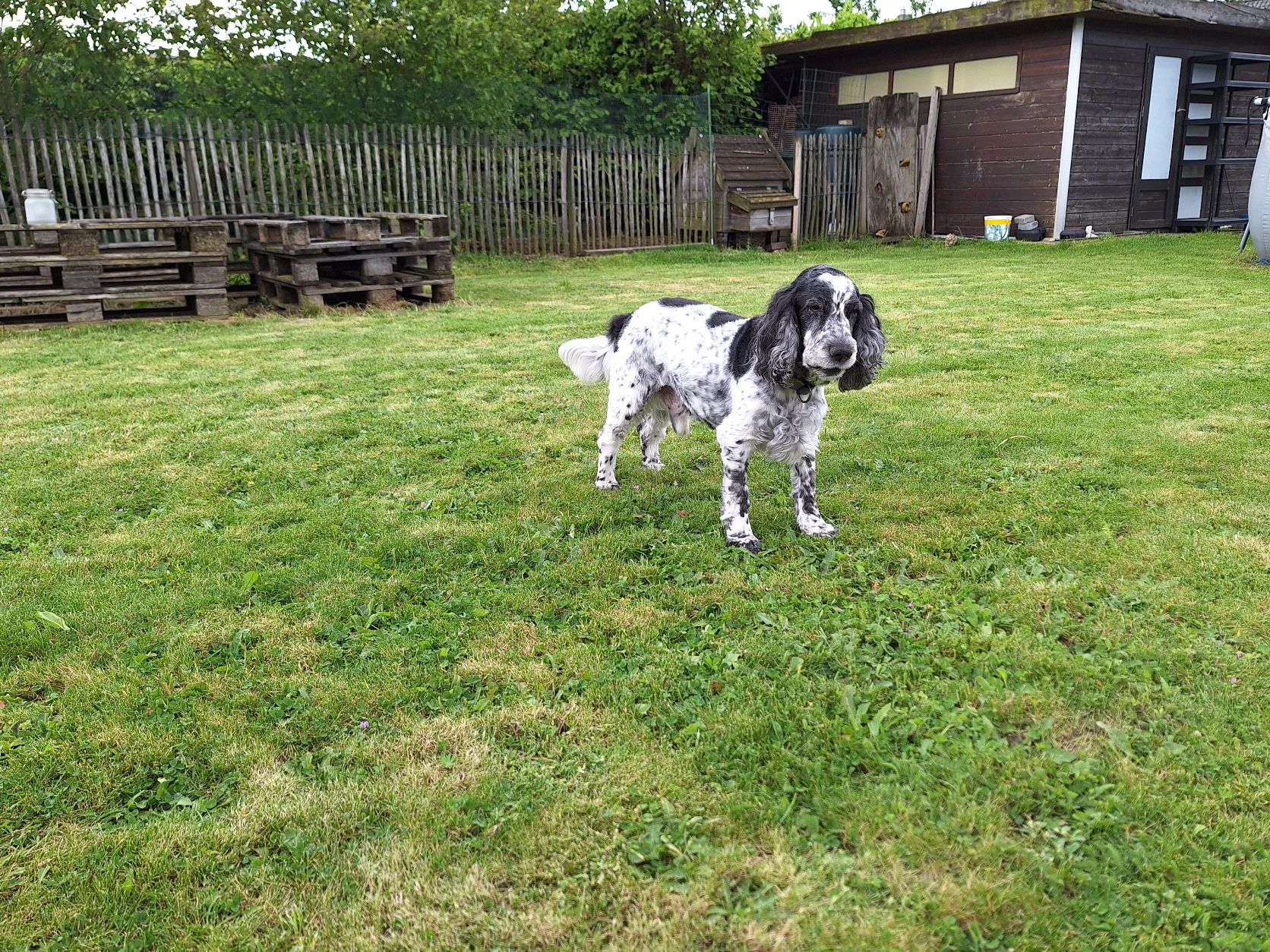 image-20