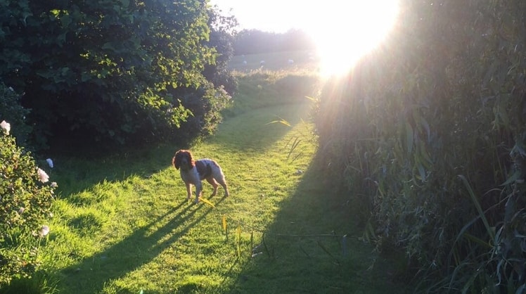 image-5