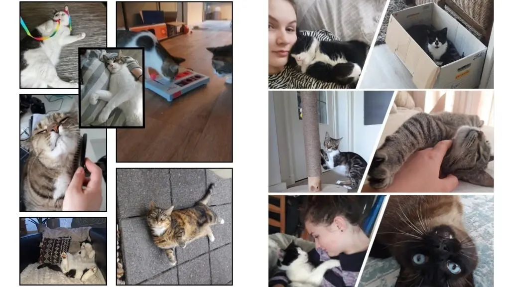 image-3