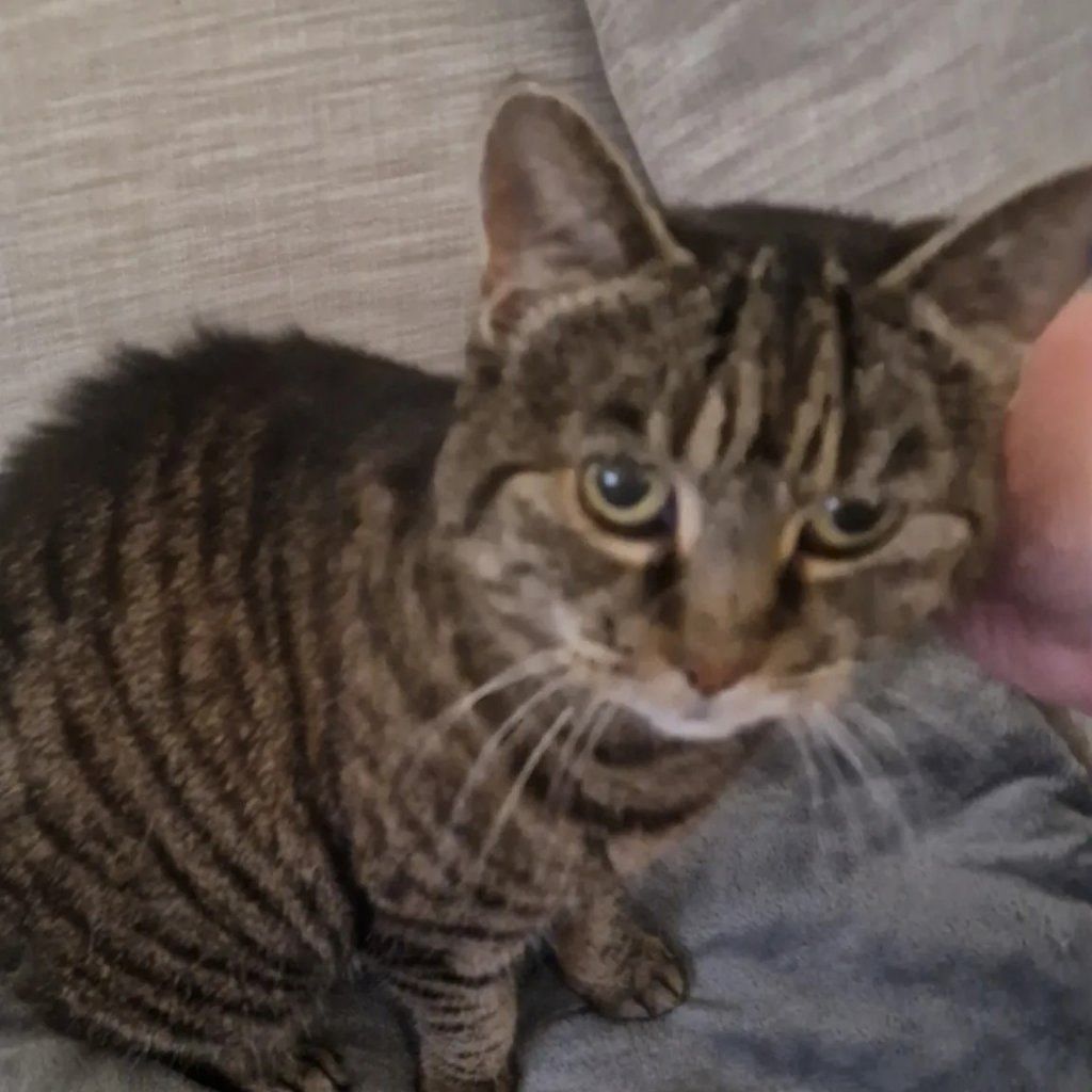 image-11