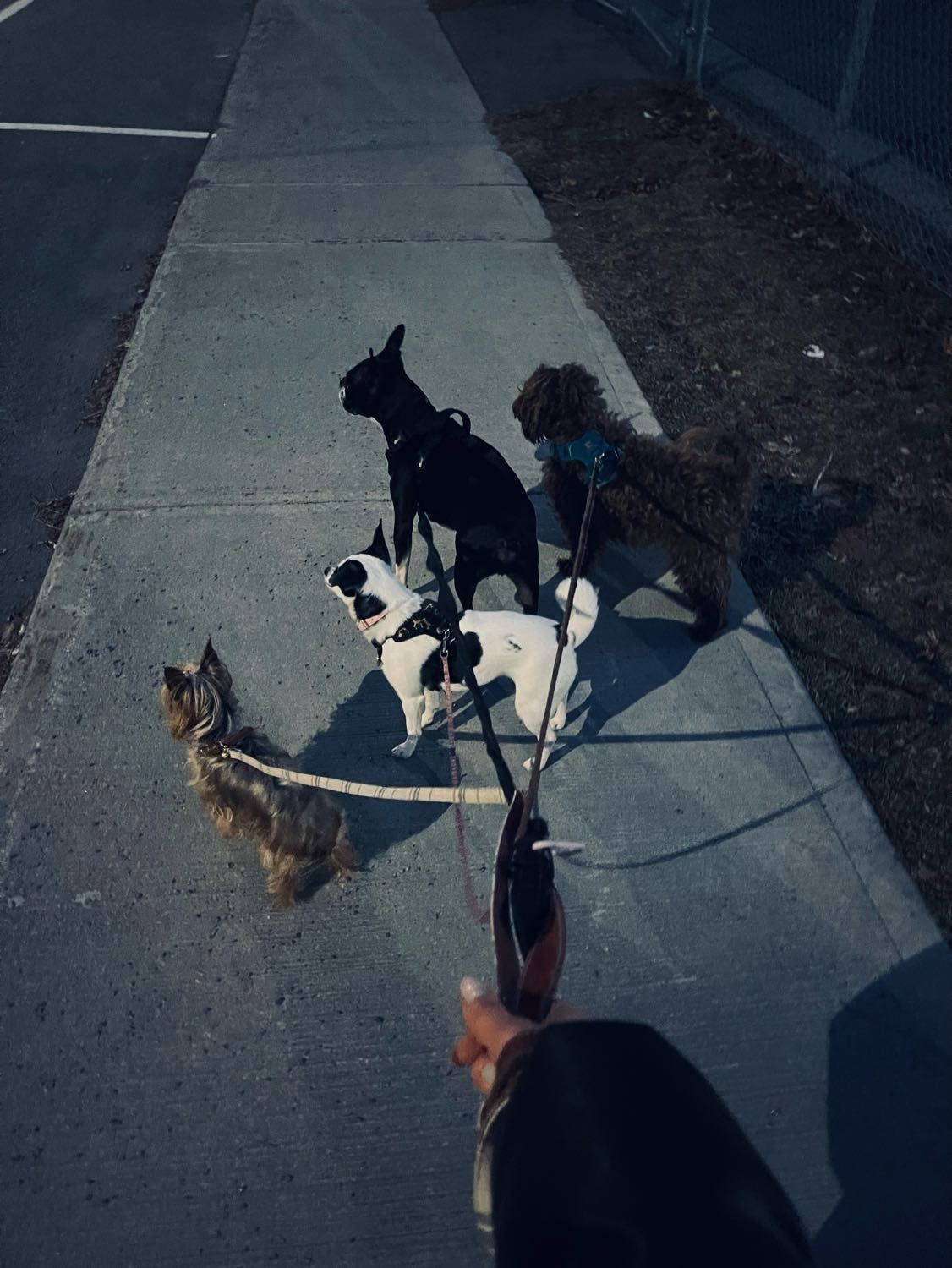 image-16
