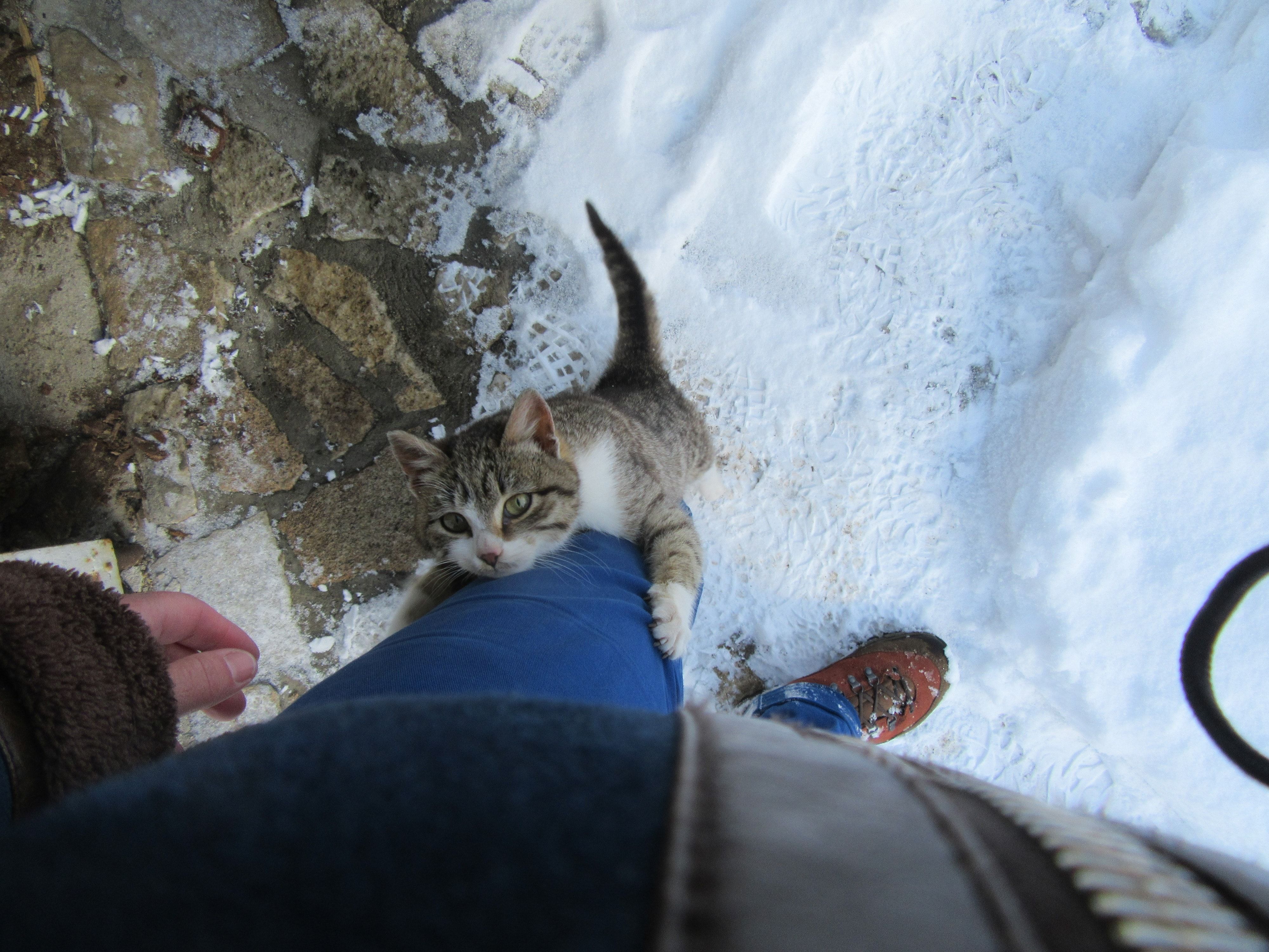 image-8