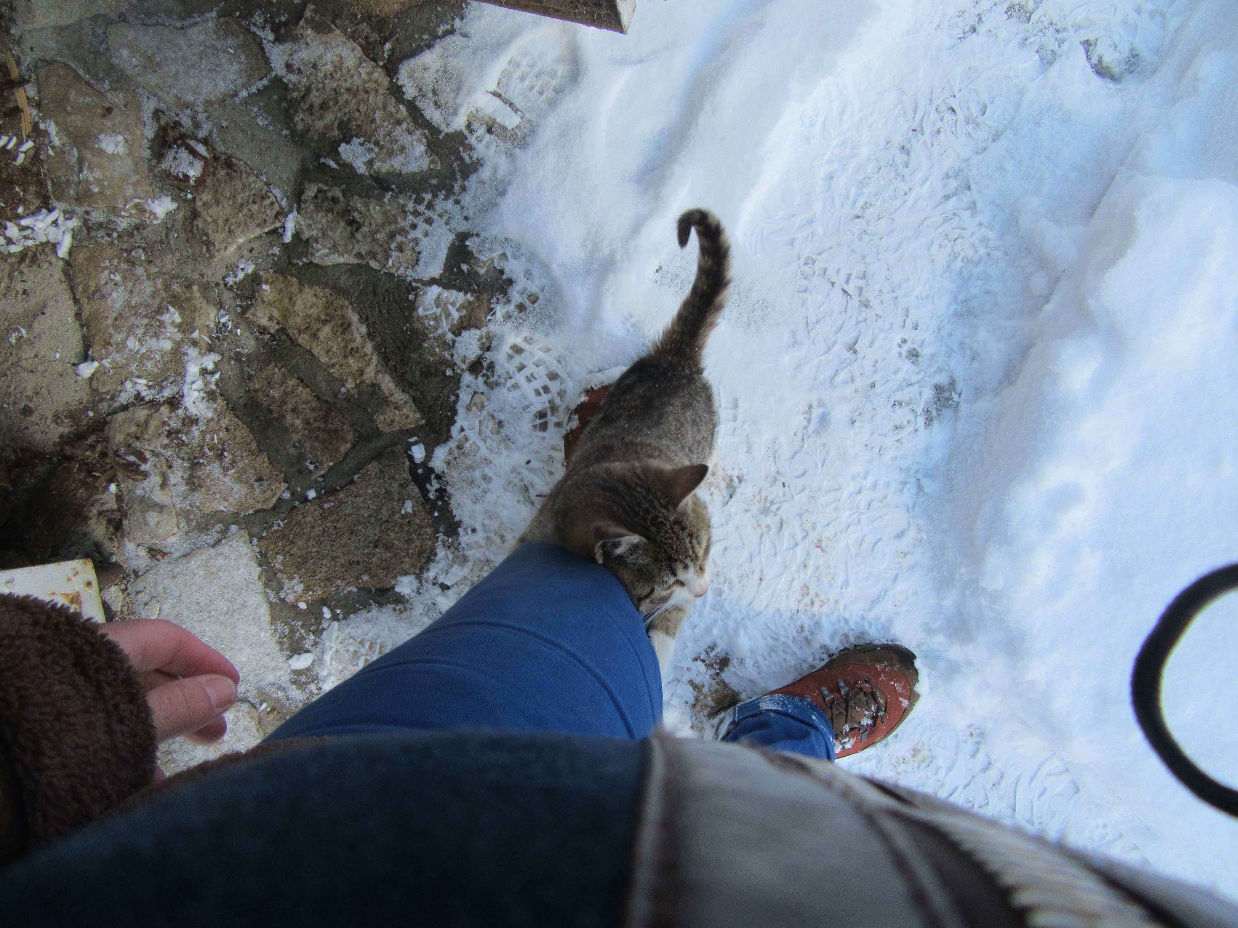 image-7