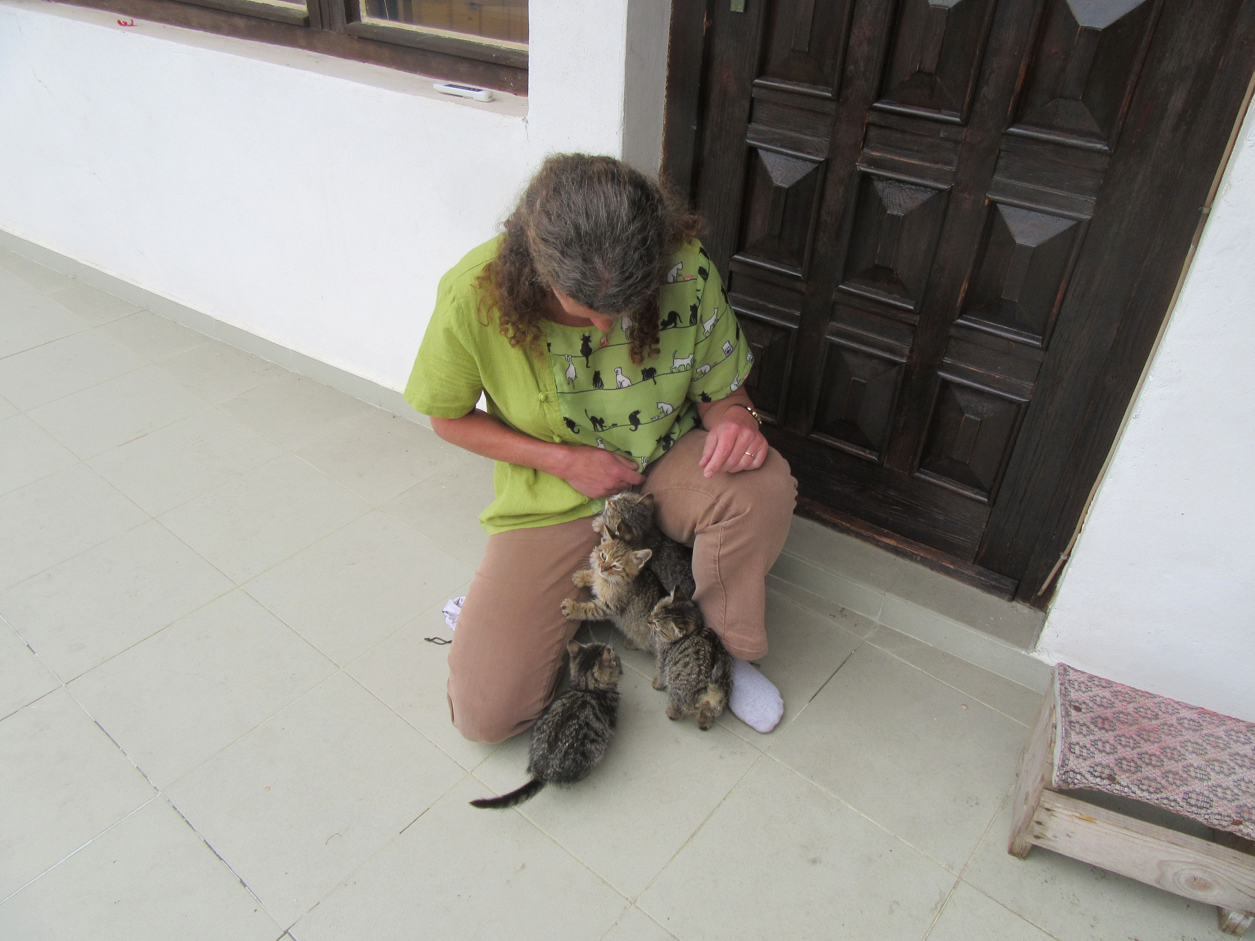 image-5