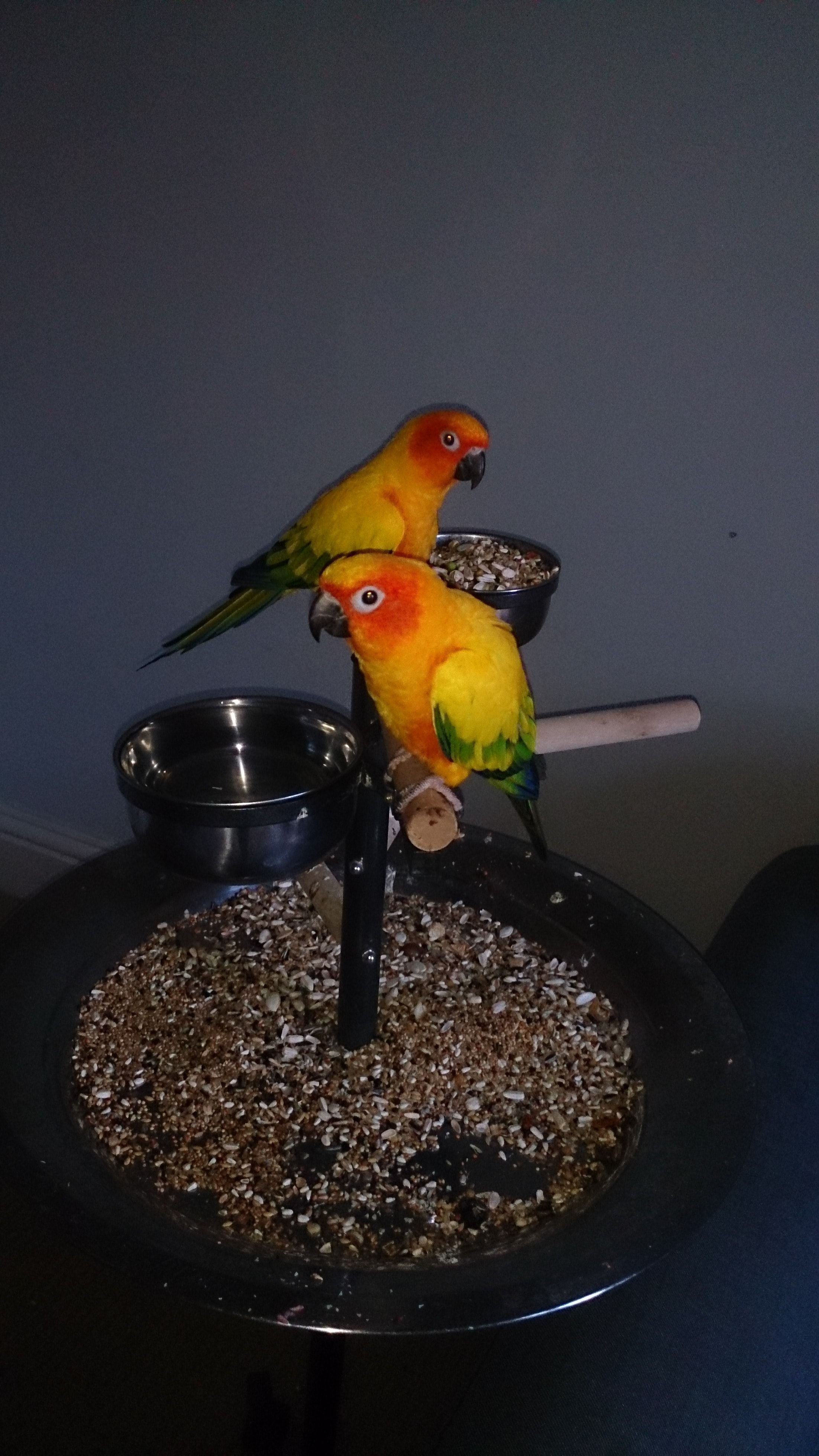 image-33
