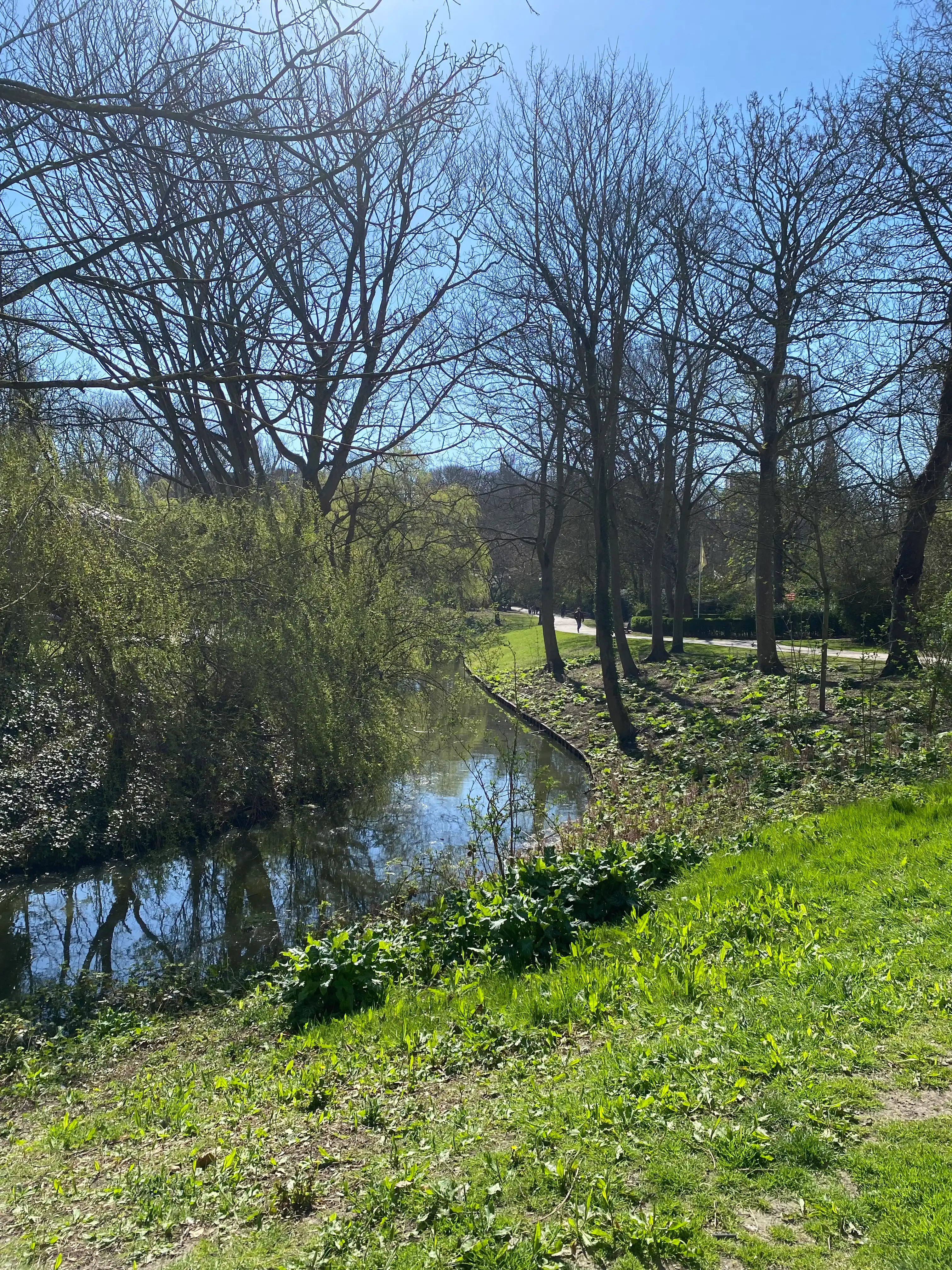image-13