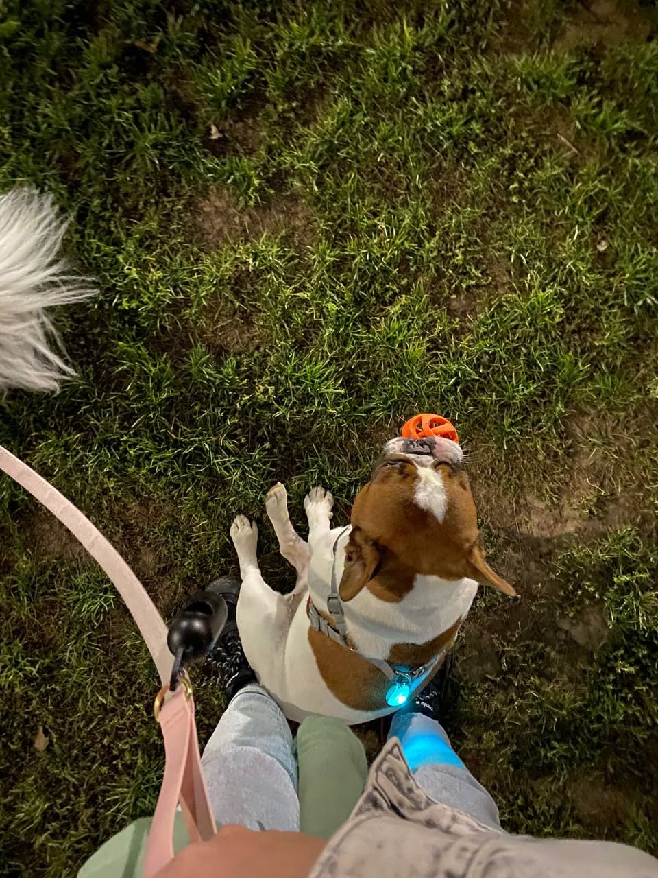 image-6