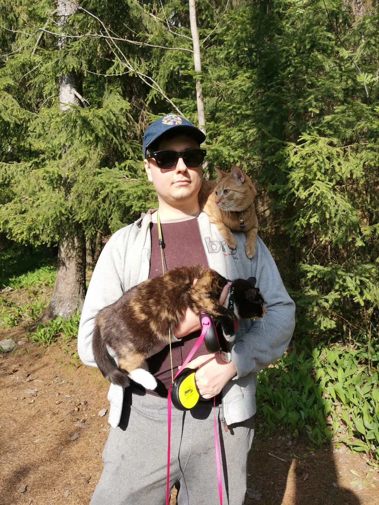 image-4