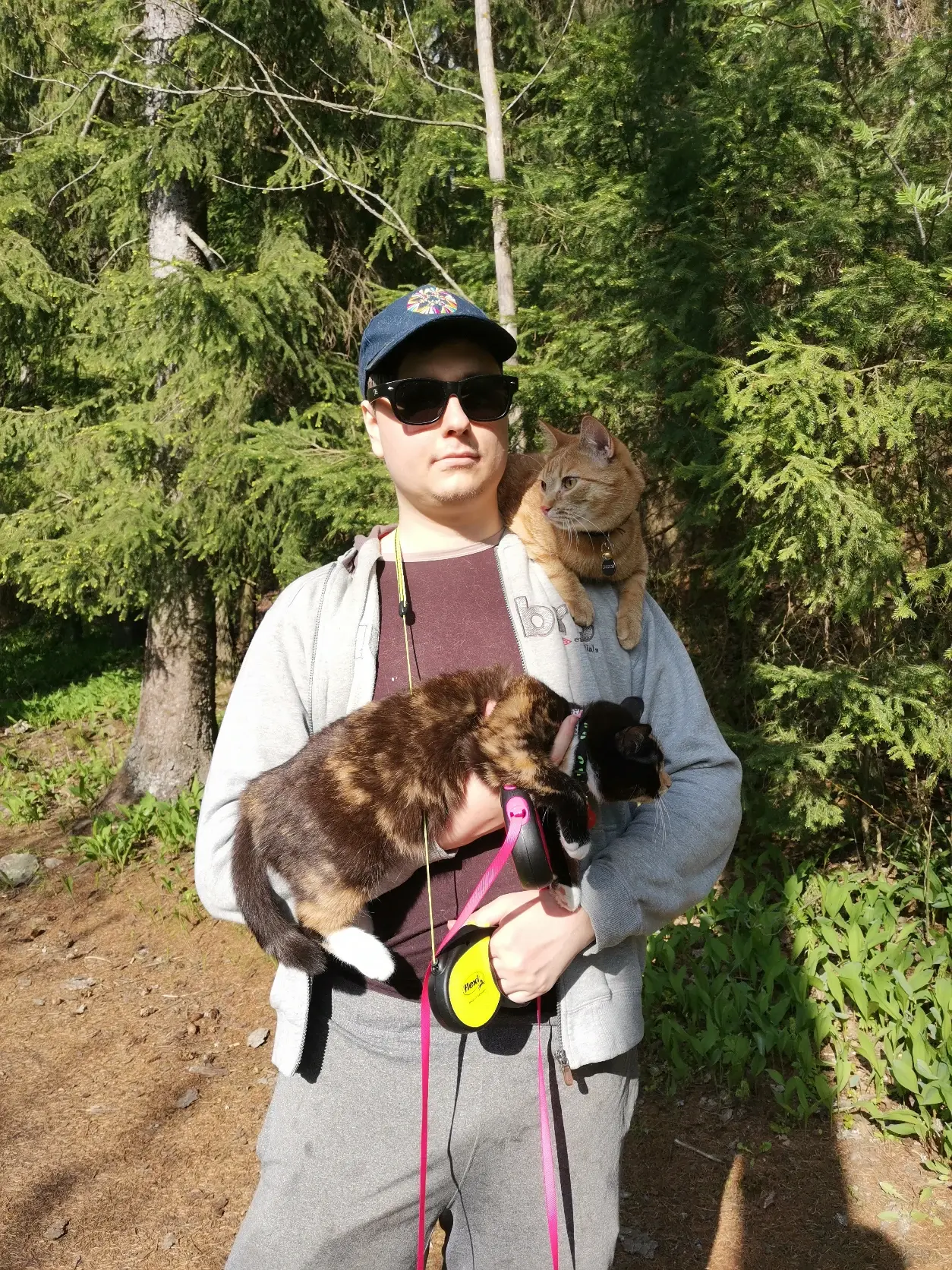 image-4