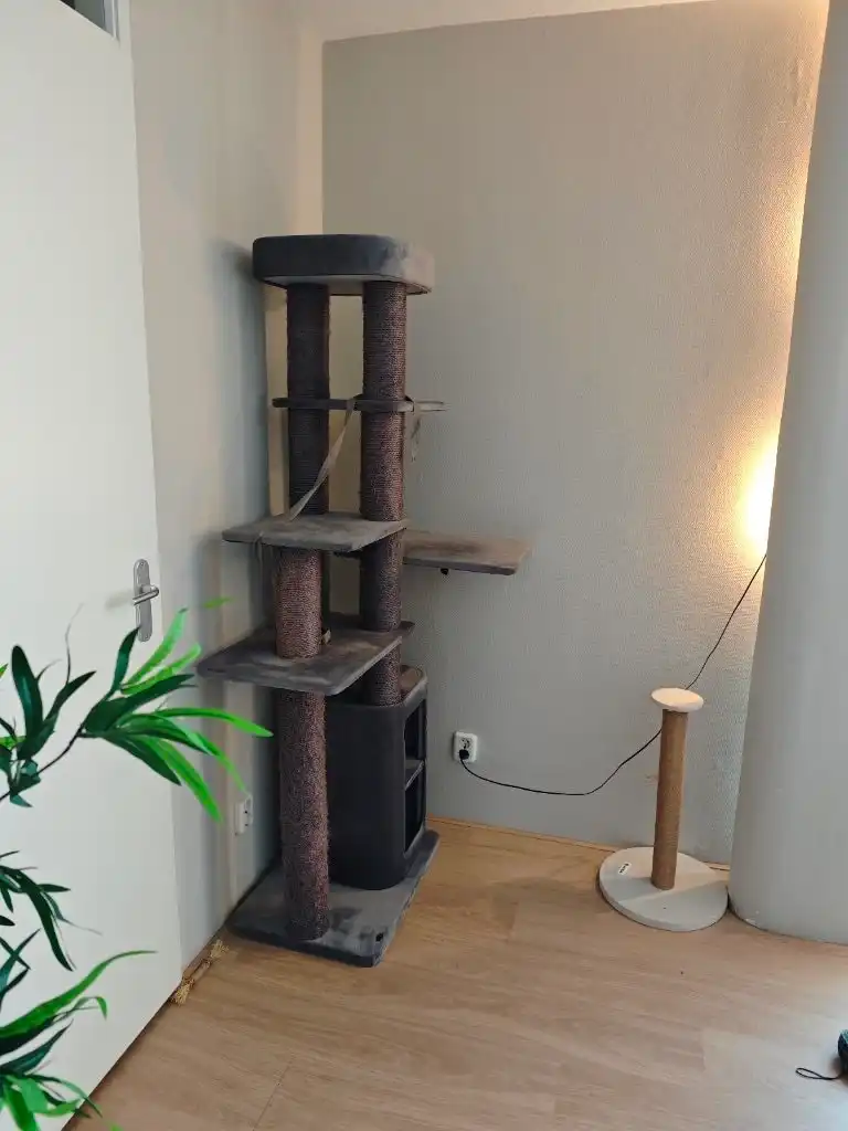 image-9