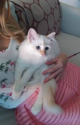 image-8