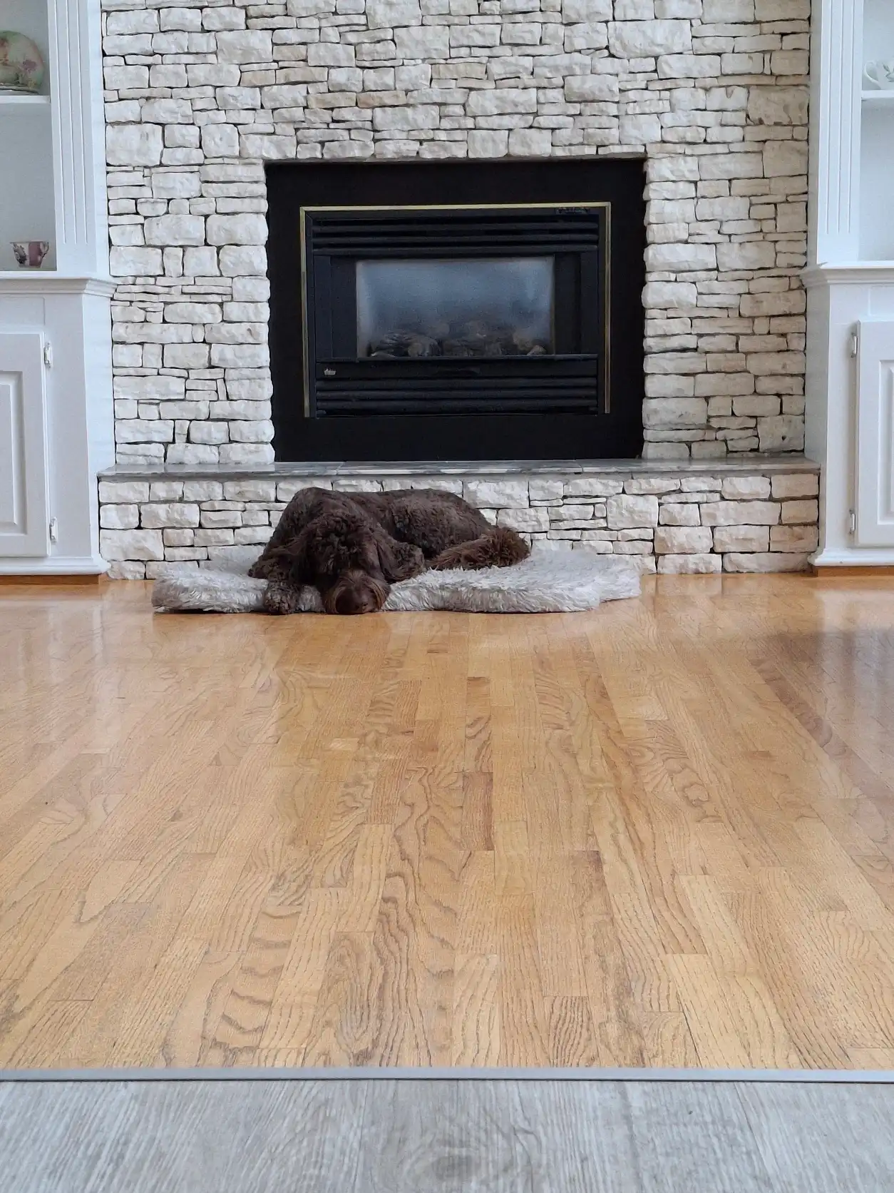 image-19