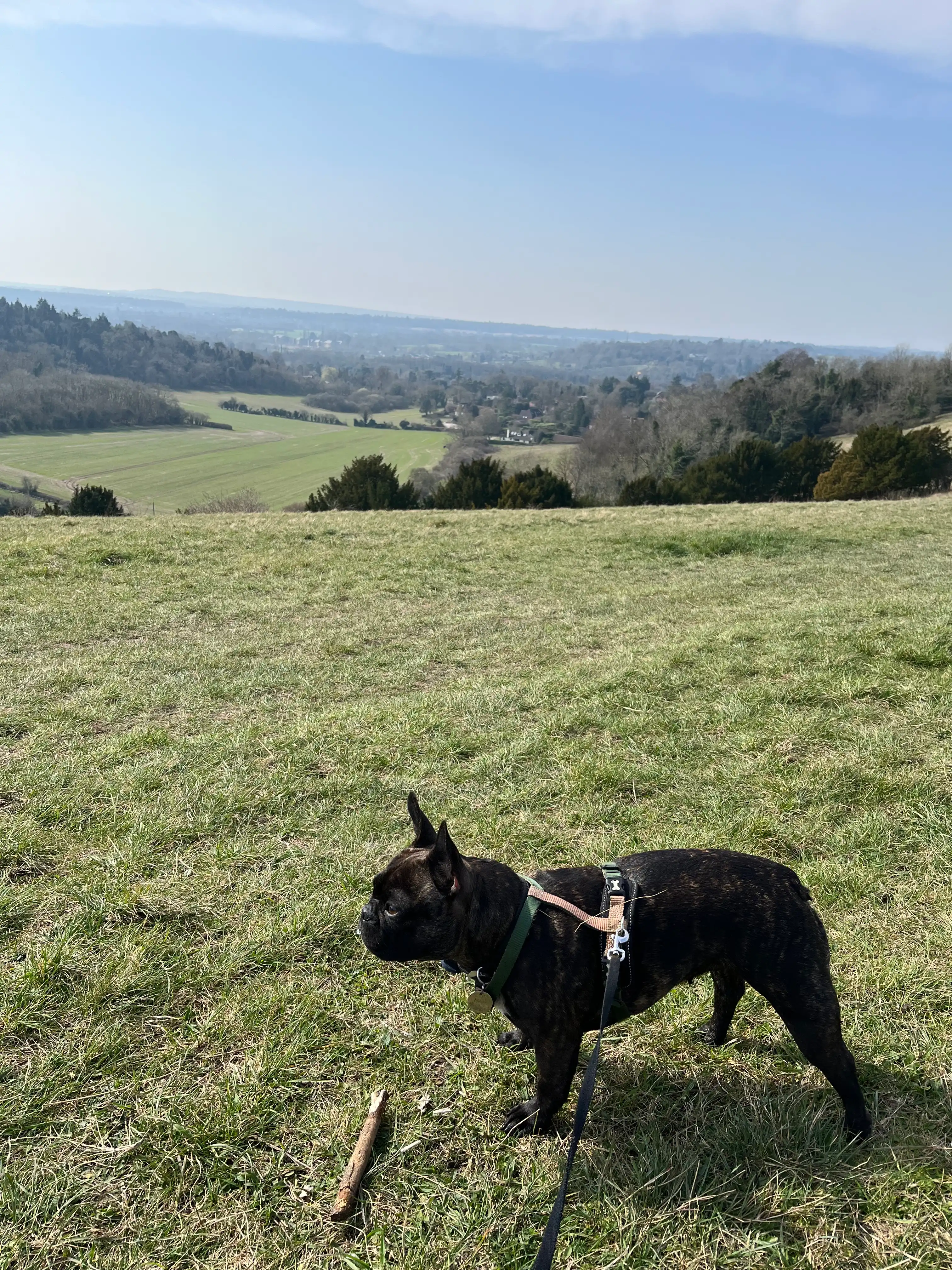 image-12