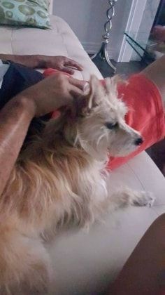 image-16