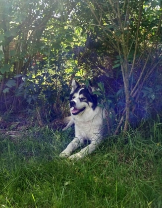 image-5