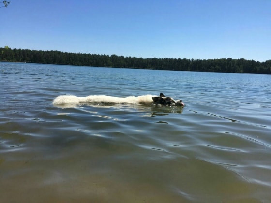 image-6