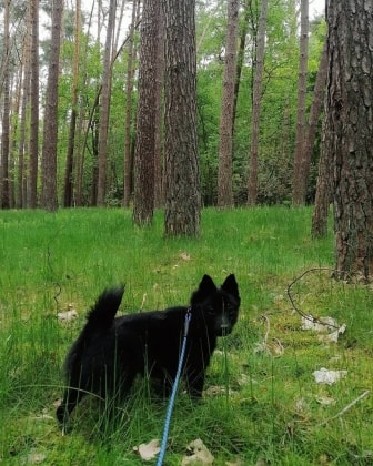 image-8