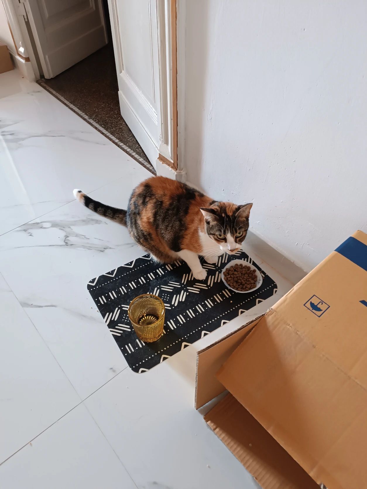 image-8
