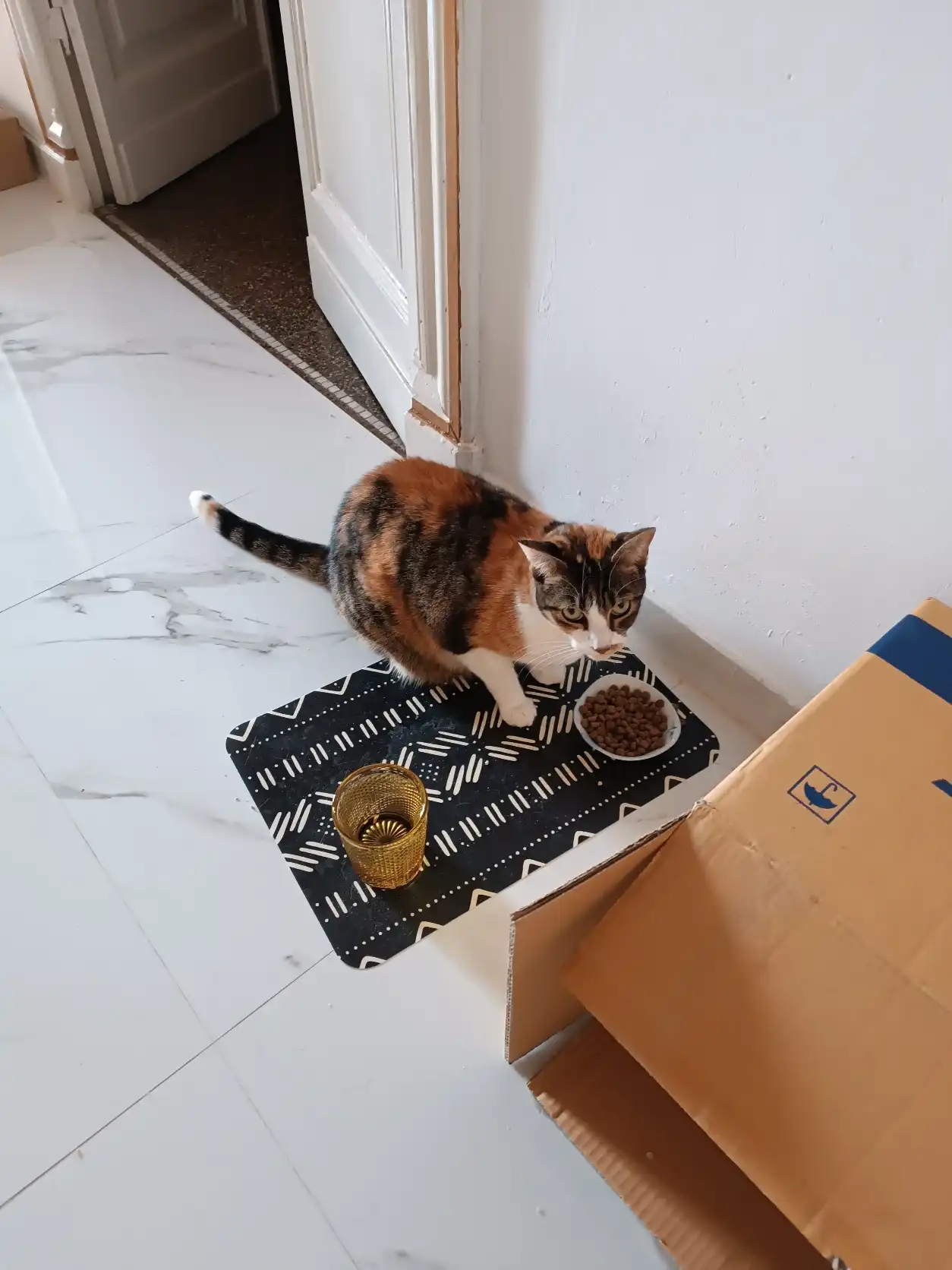 image-8