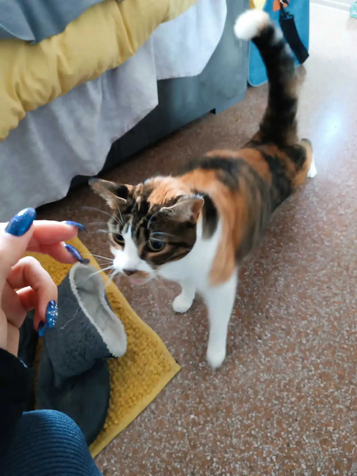 image-7