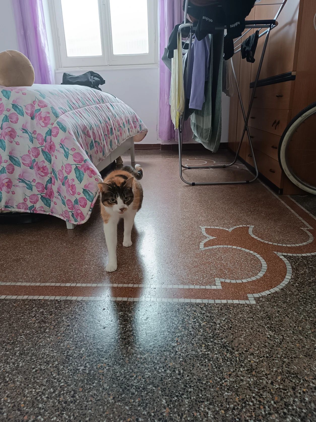 image-6