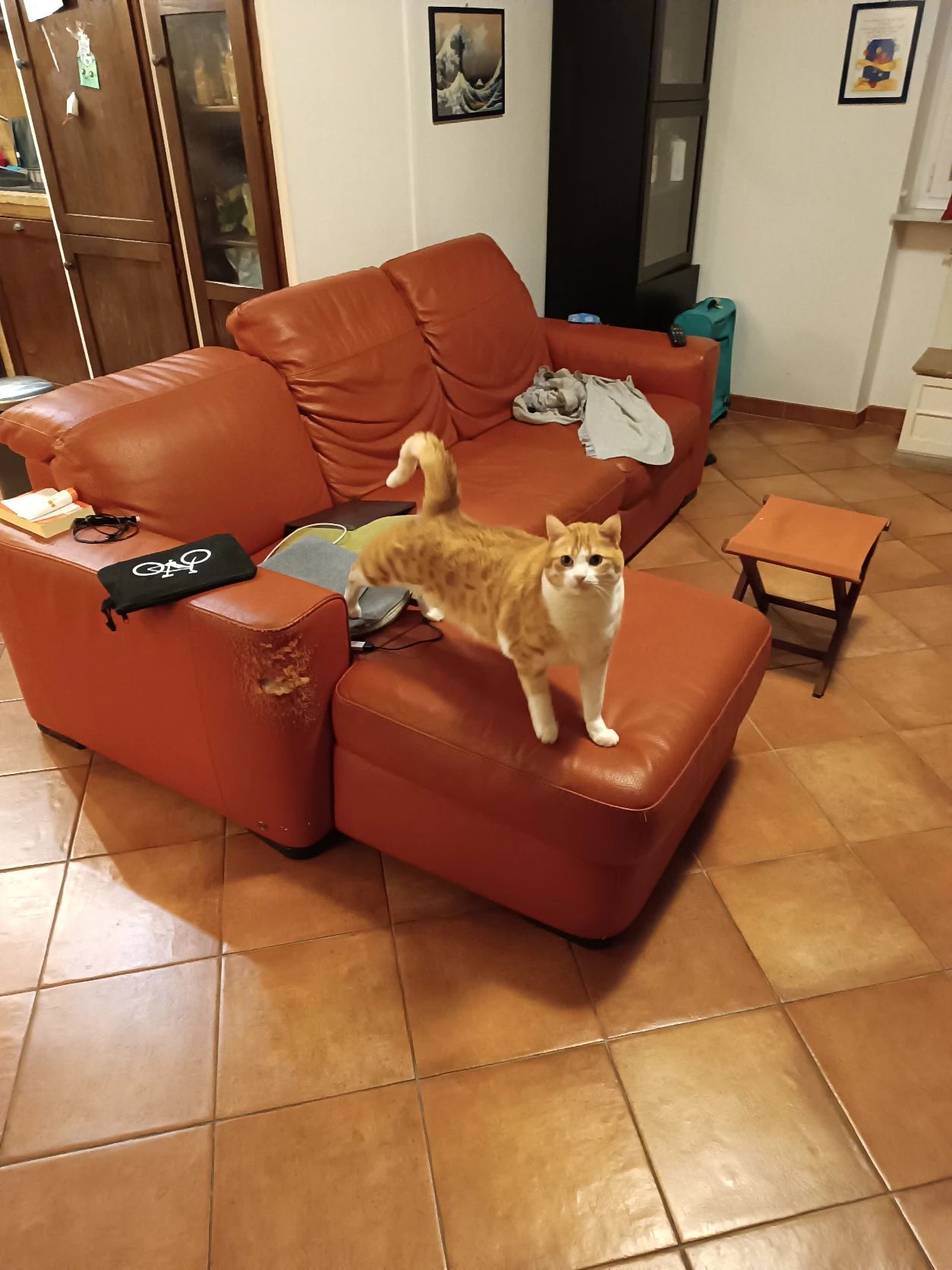 image-12