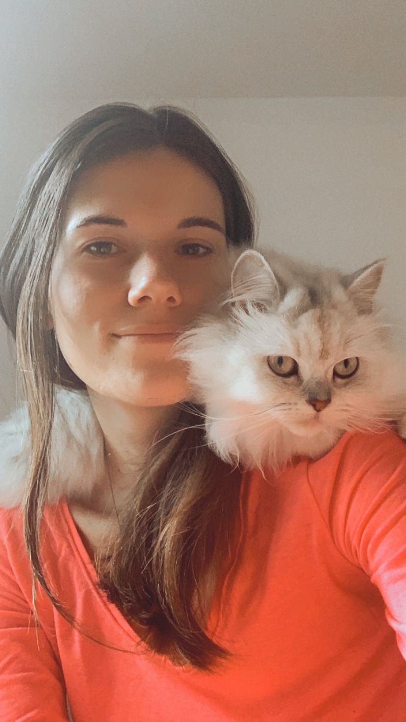 image-6