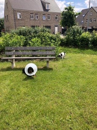image-15