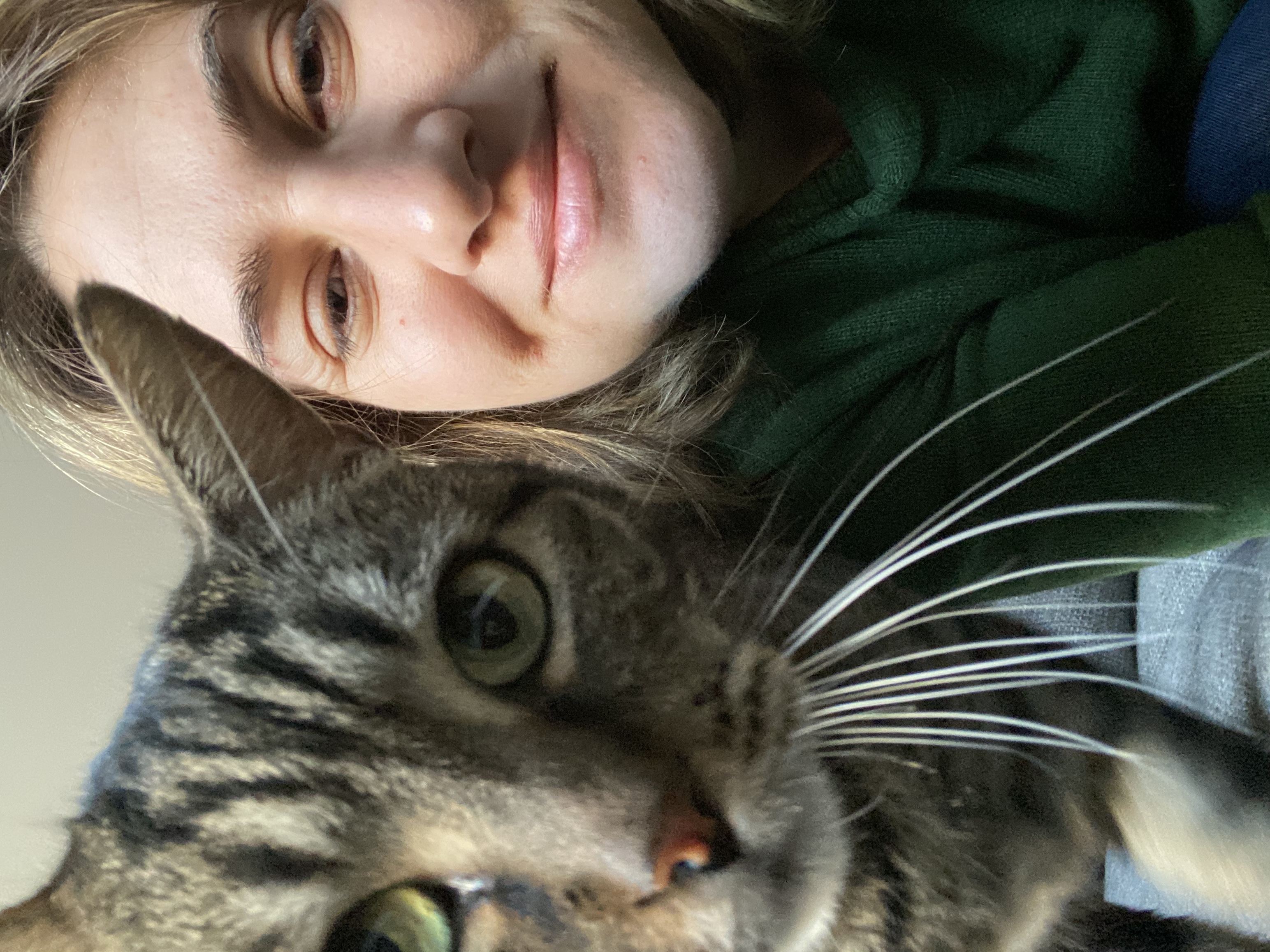 image-8