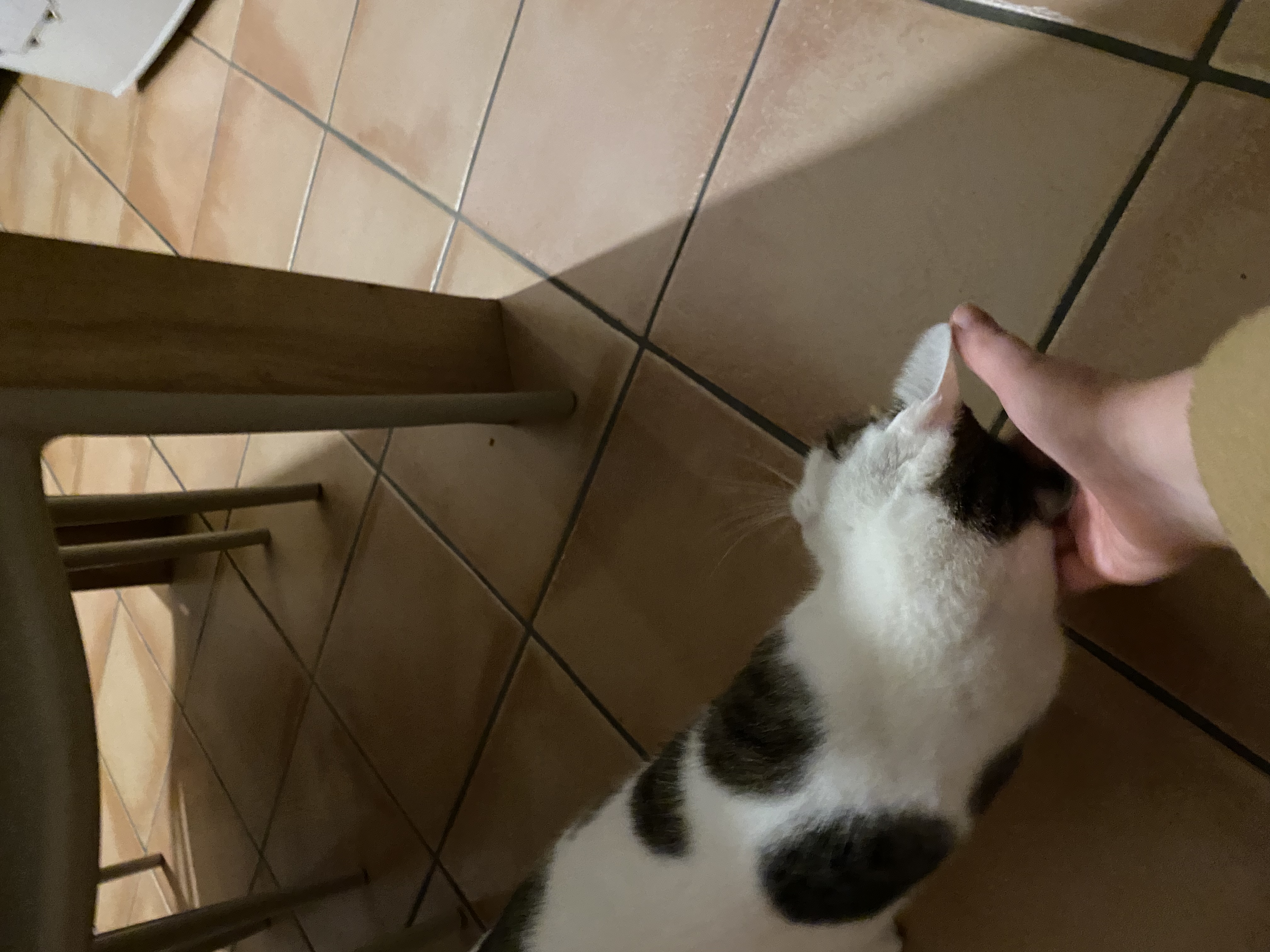 image-6