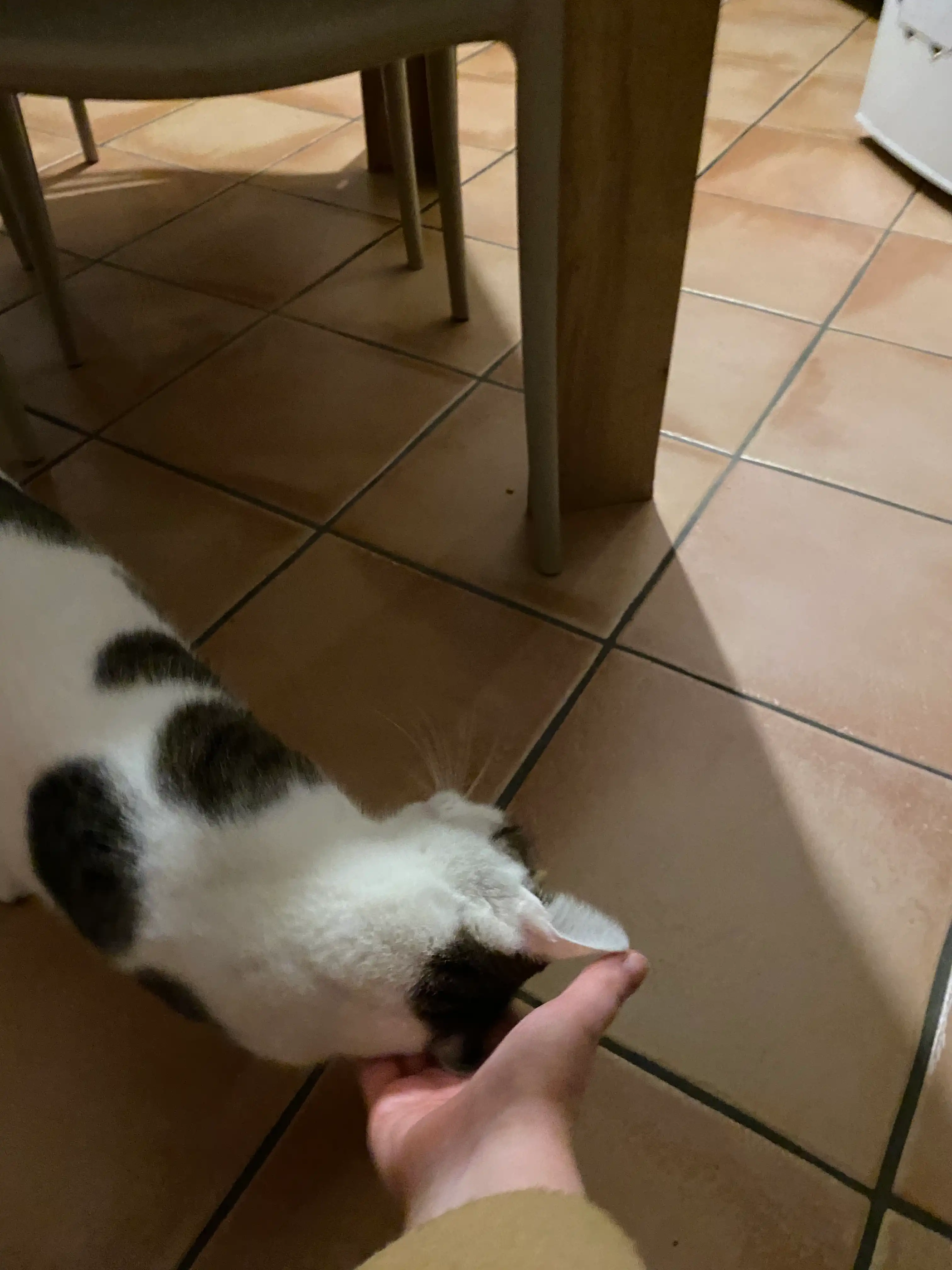 image-6