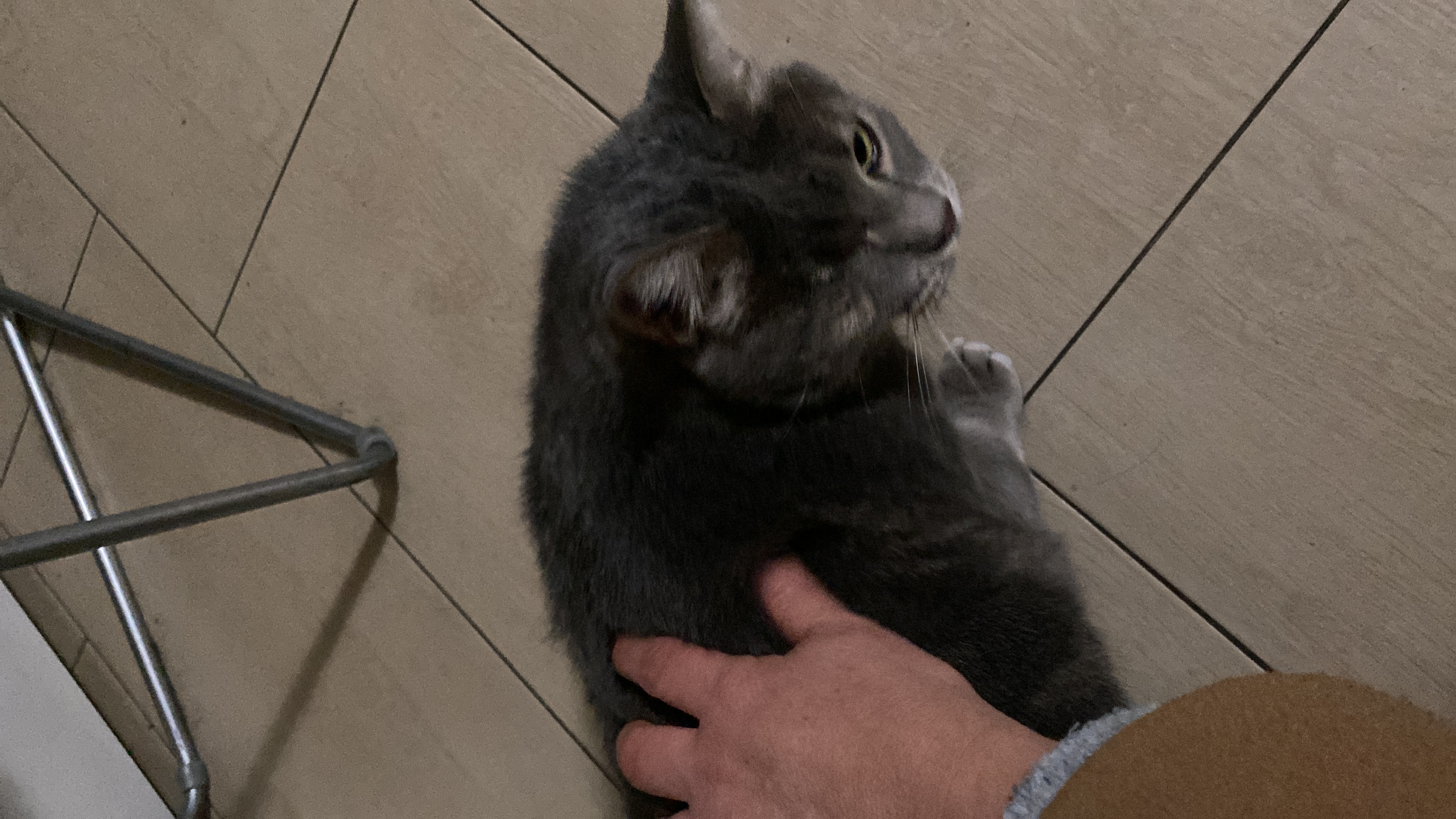 image-7