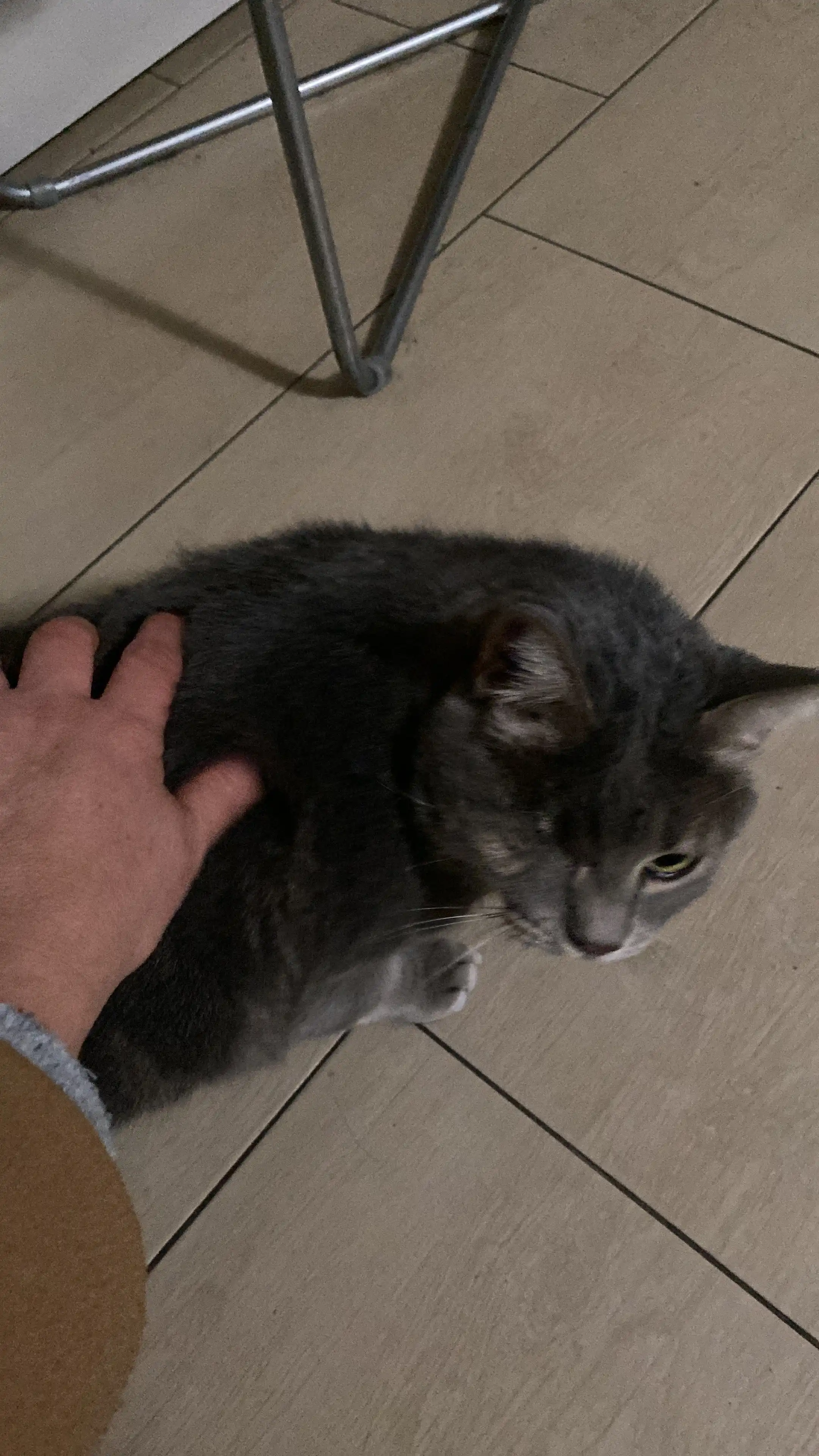 image-7