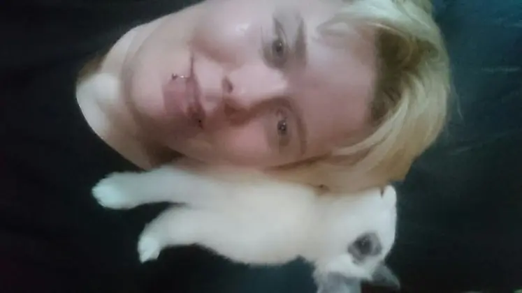 image-3