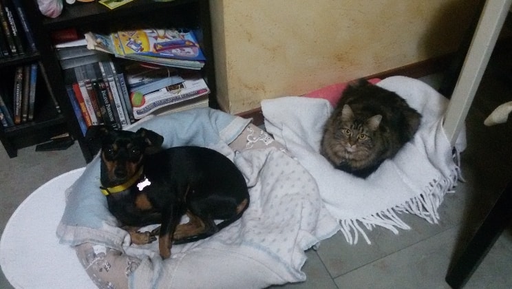 image-3