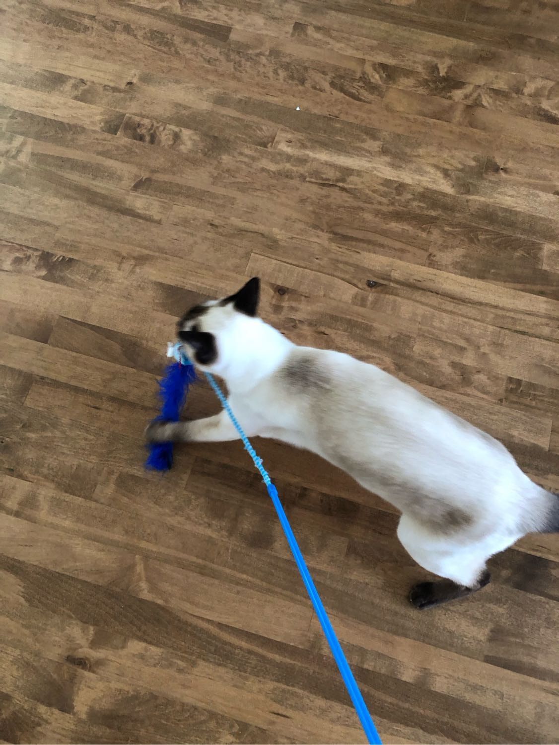 image-17