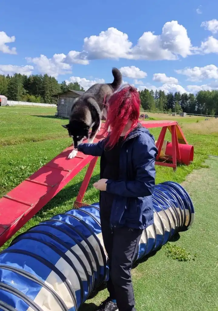 image-6