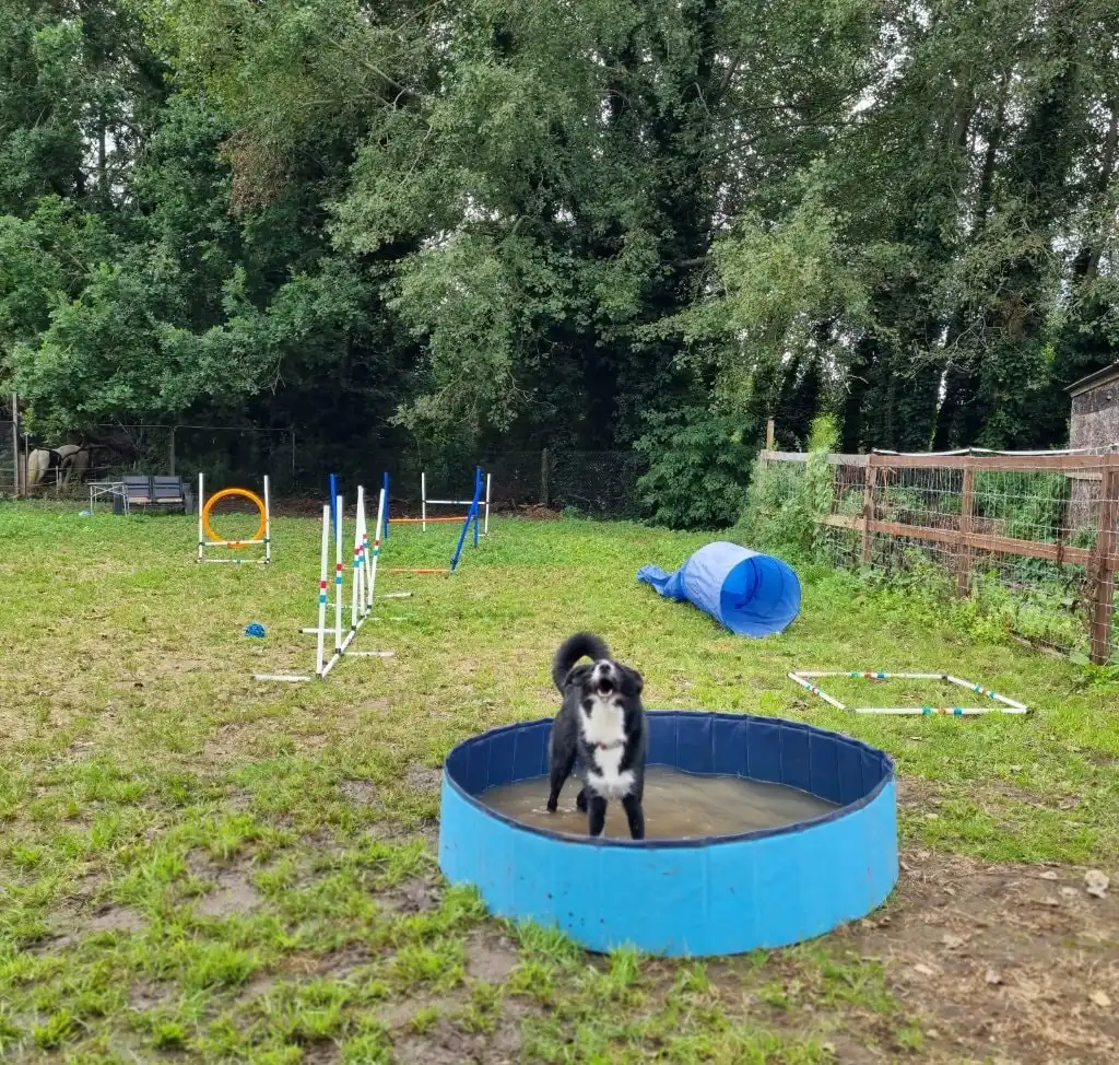 image-17