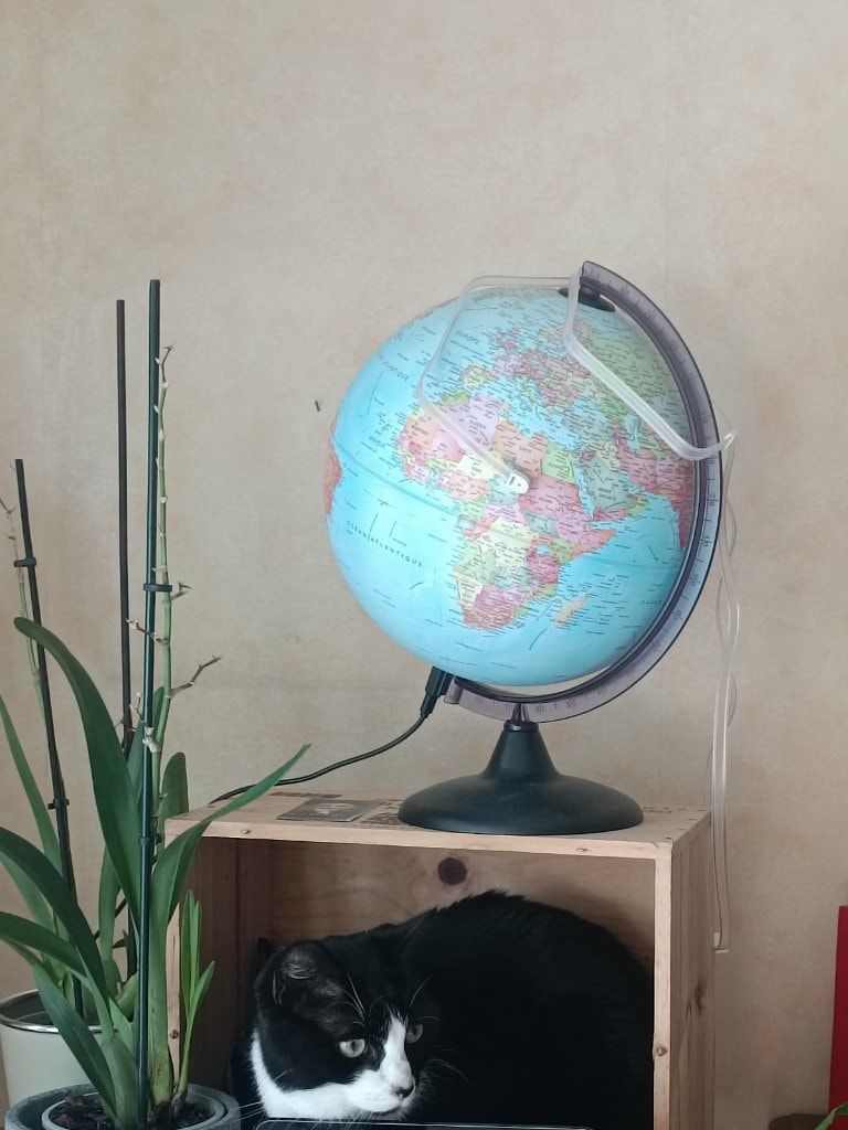 image-14