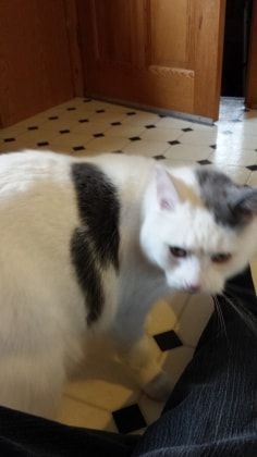 image-7