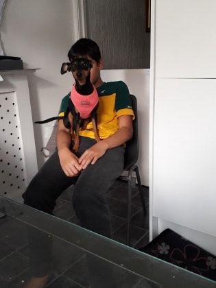 image-13