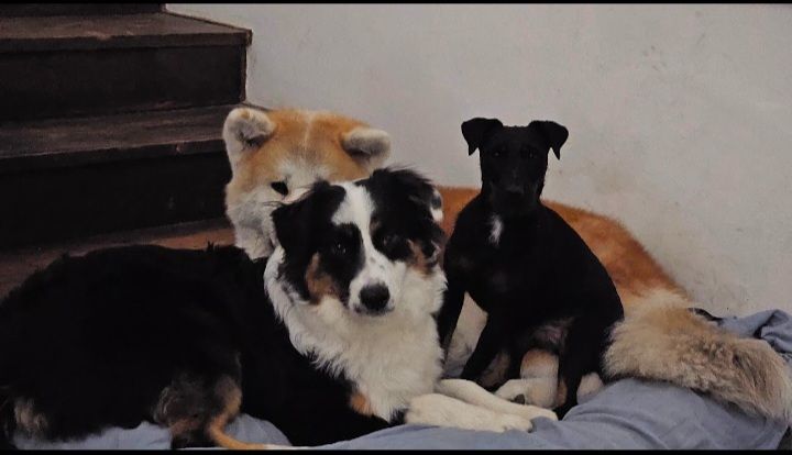 image-37