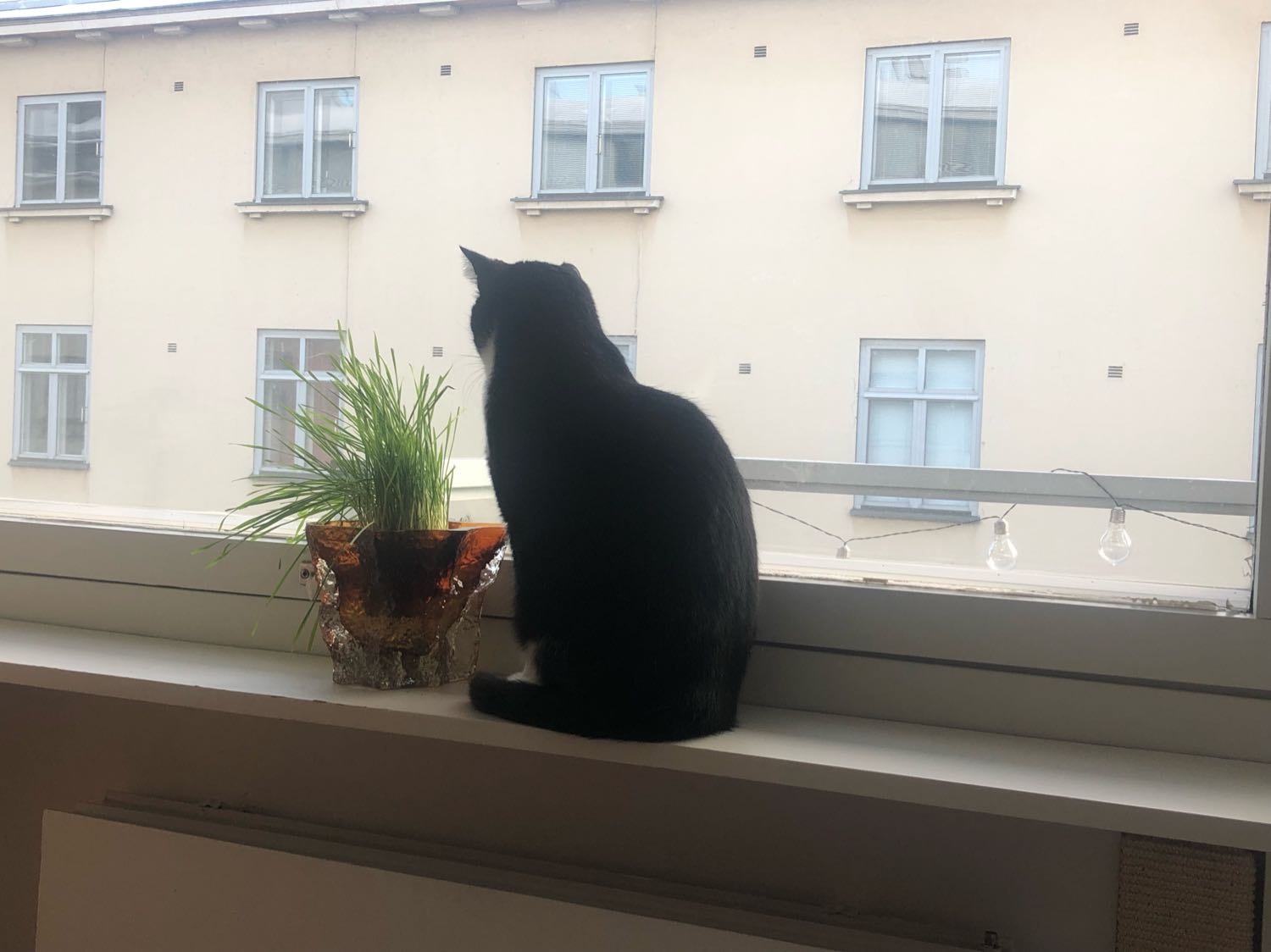 image-8