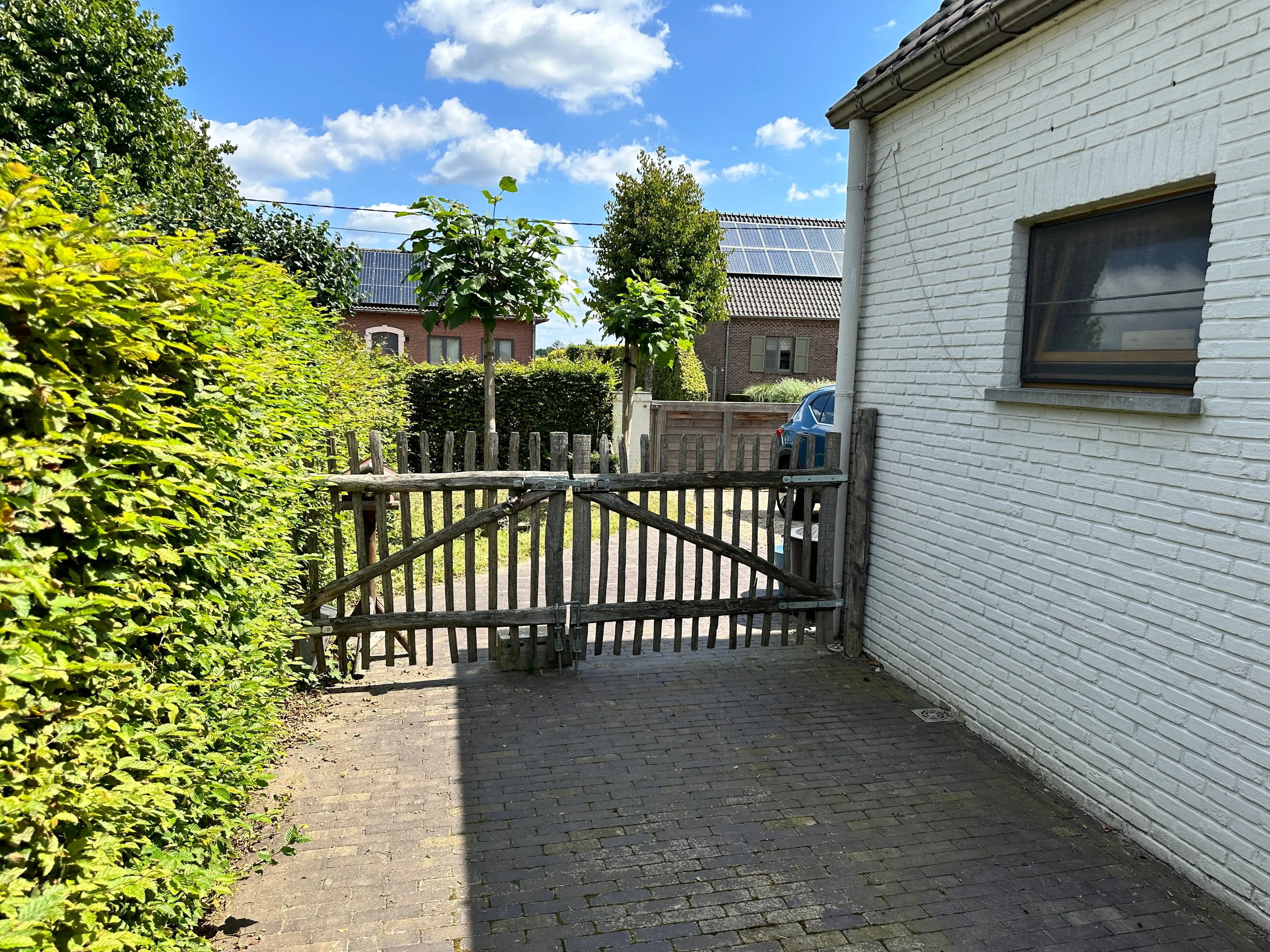 image-8