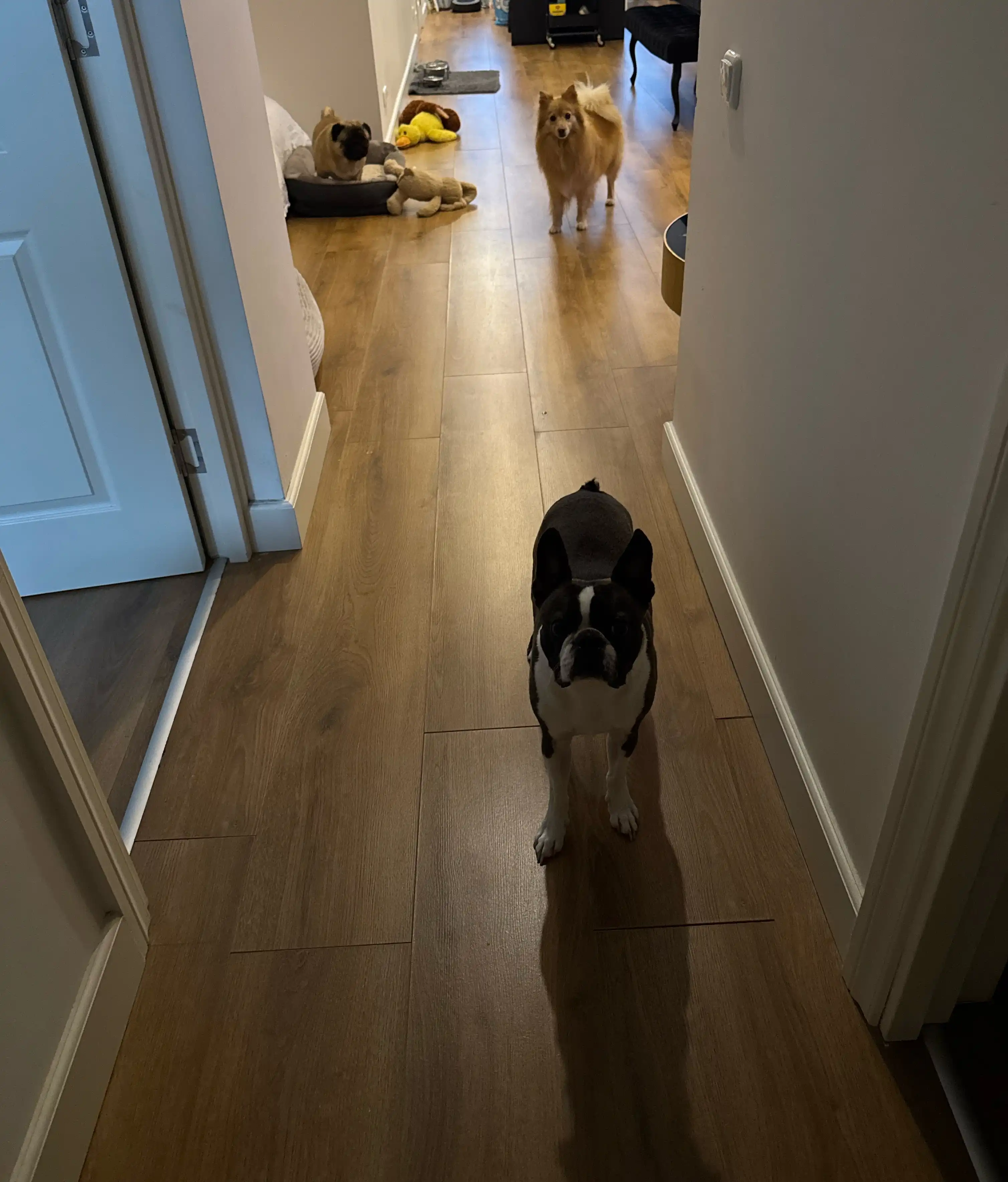 image-42