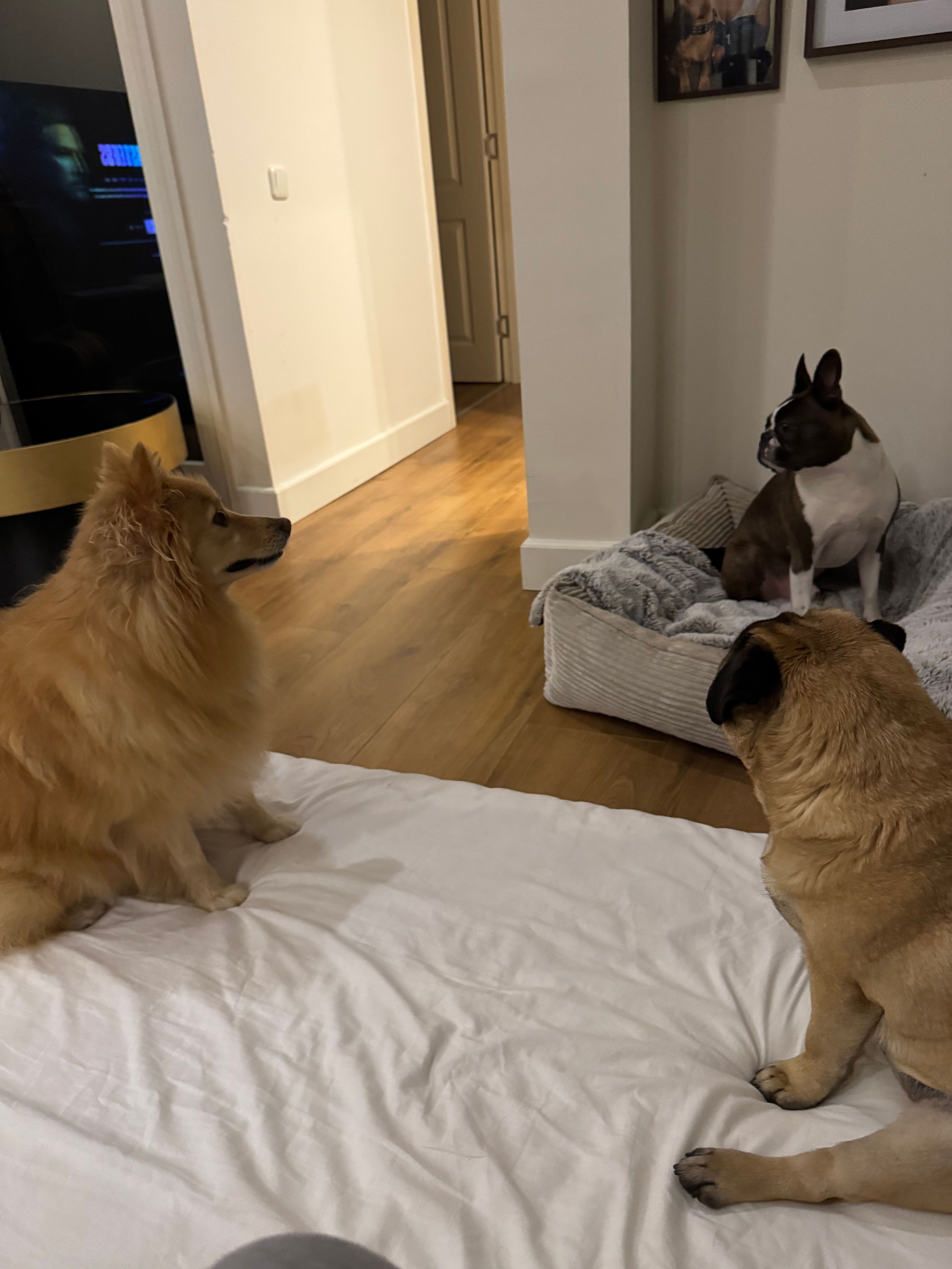 image-41