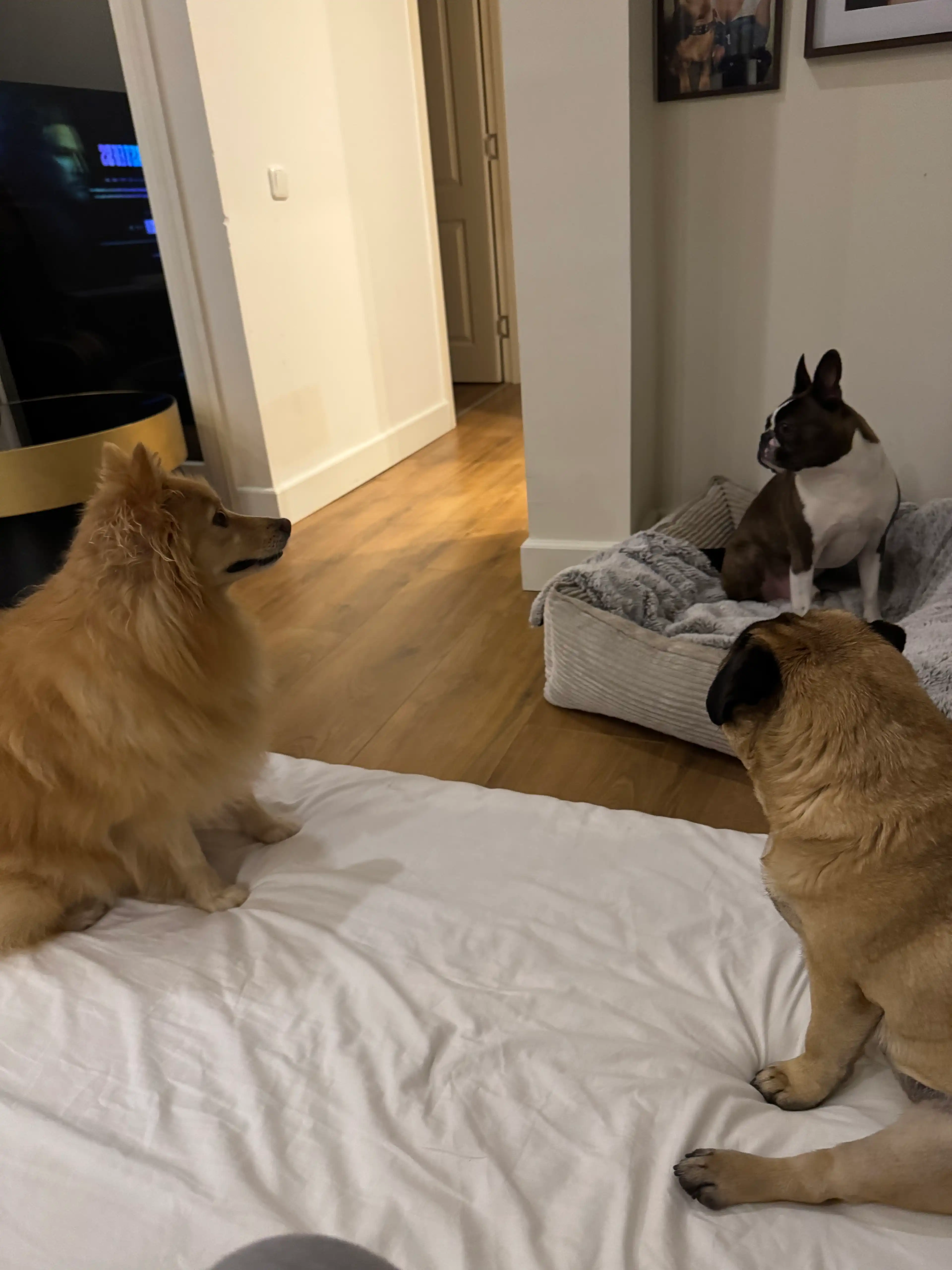 image-41