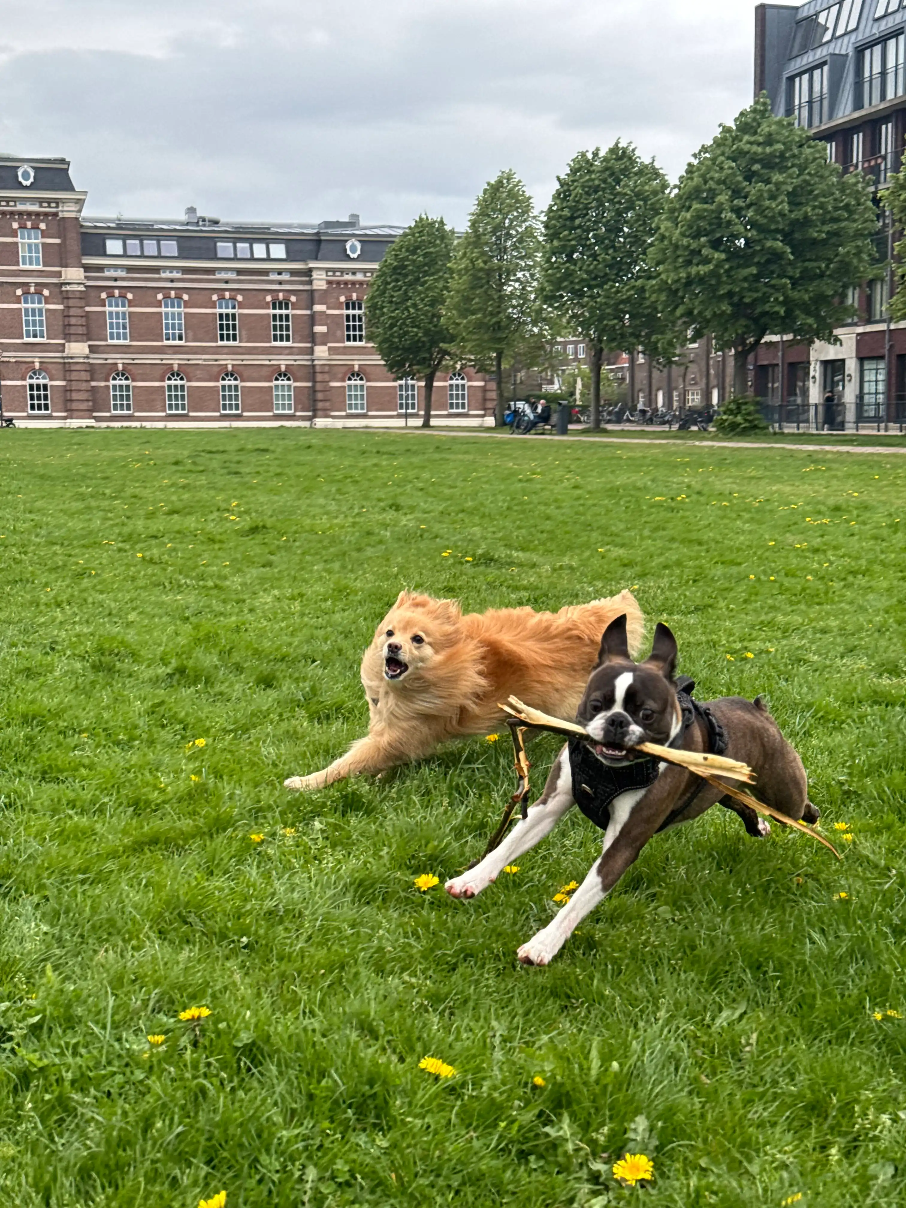 image-28