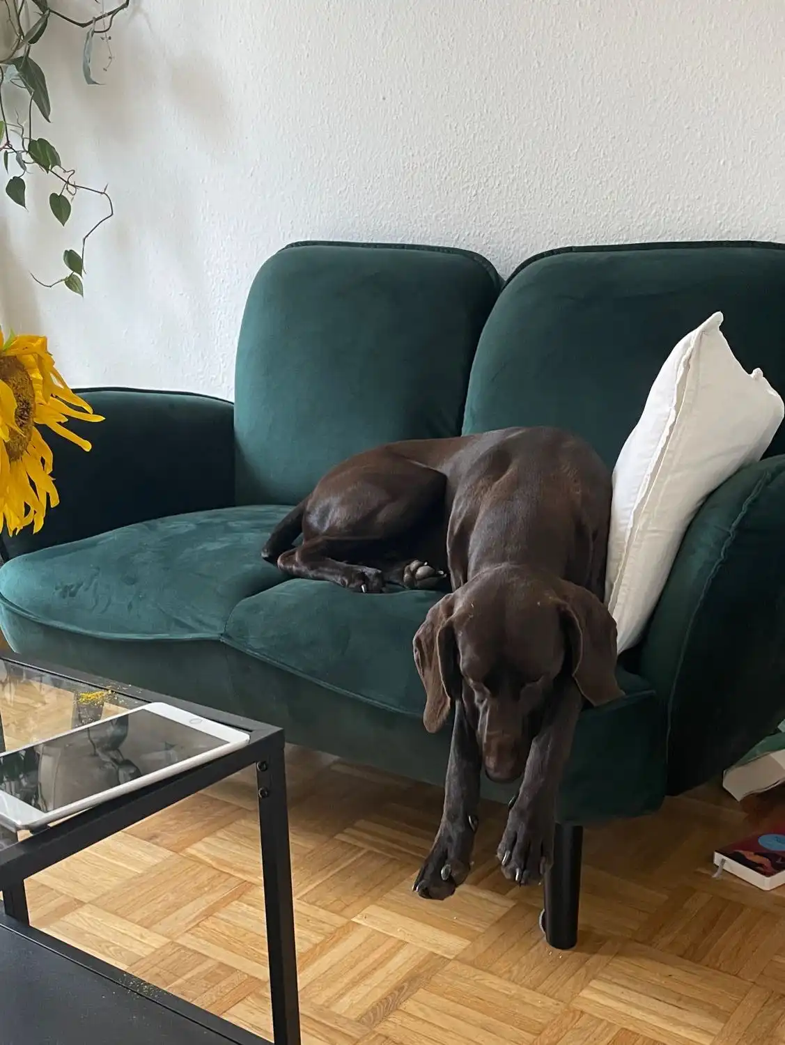 image-13